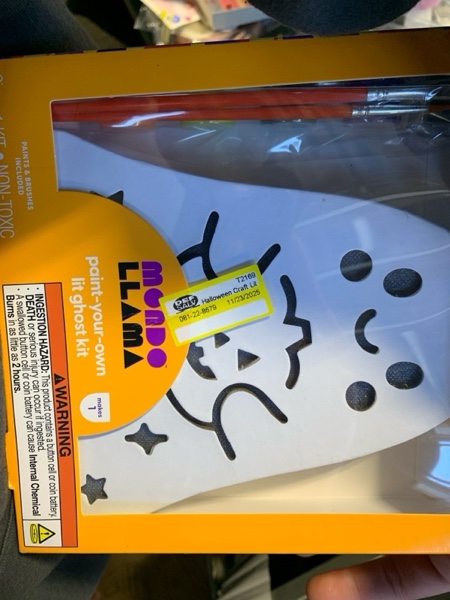 Condition photo showing New/Like New for Halloween Craft Lit Paperboard Ghost Painting Kit - Mondo Llama™