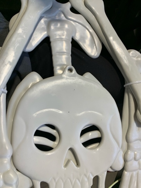 Condition photo showing New/Like New for 59" 3D Skull Skeleton Traditional Bone Halloween Decorative Prop Off-White - Hyde and EEK! Boutique™