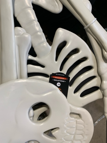 Condition photo showing New/Like New for 59" 3D Skull Skeleton Traditional Bone Halloween Decorative Prop Off-White - Hyde and EEK! Boutique™