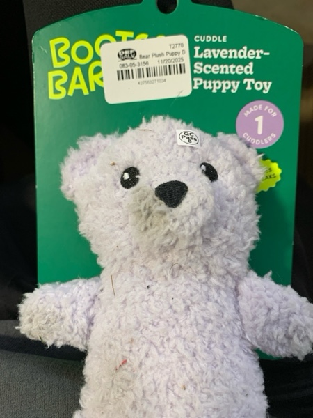 Condition photo showing New/Like New for Bear Plush Puppy Dog Toy 