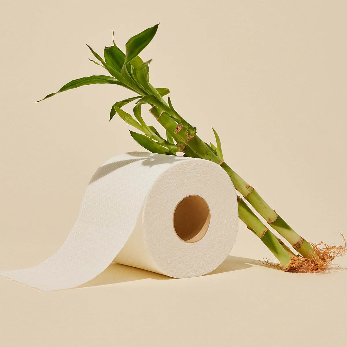 Reel Bamboo Toilet Paper — Plastic-free, 100% Bamboo, Biodegradable, Zero Plastic, No inks, No Dyes (1 Roll)