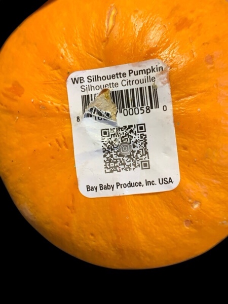 WB Silhouette Pumpkin
