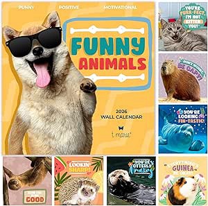 t marie 2026 funny wall calendar - monthly 12” x 12” motivational calendar with 12 months of funny animal memes and encouraging puns