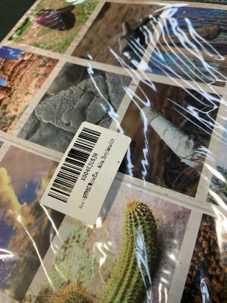 Condition photo showing New/Like New for White Elephant Gifts for Adults - 12"x 9" Natures D'cks Pics Calendar 2026 , Inappropriate Calendar 2026, Hilarious Christmas Gag Gifts, Dirty Santa Gift, Useful White Elephant Gifts for Adults Coworkers Friends Family 2026 Nature Calendar-Green