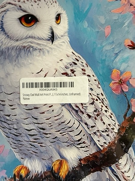 Condition photo showing New/Like New for Snowy Owl Wall Art Print Poster — Floral Bird Tree Branch Nature Bedroom Bathroom Restroom Decor 157B (Snowy Owl, 11x14 inches, Unframed)