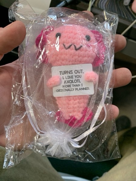 Condition photo showing New/Like New for Gifts for New Relationship, Crushes, Valentines, Anniversaries for Him or Her - Mini Crochet Axolotl - Turns Out I Like You More Than Planned, Will You Be My Girlfriend Boyfriend Gf Bf