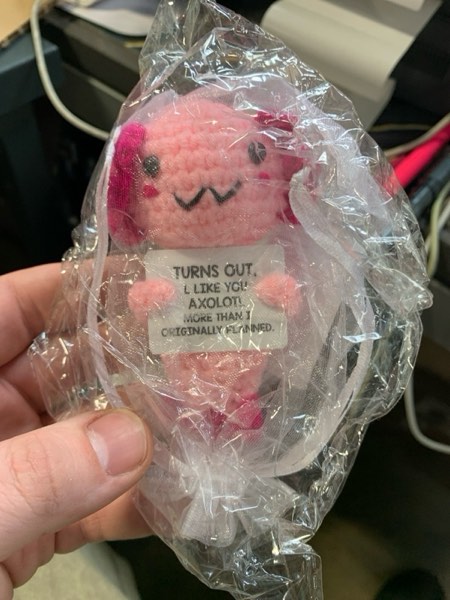 Condition photo showing New/Like New for Gifts for New Relationship, Crushes, Valentines, Anniversaries for Him or Her - Mini Crochet Axolotl - Turns Out I Like You More Than Planned, Will You Be My Girlfriend Boyfriend Gf Bf