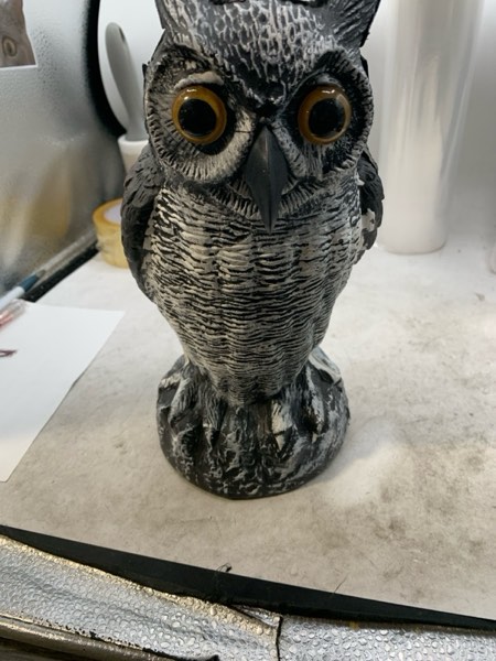 Condition photo showing New/Like New for Fake Standing Owl Bird Model Toy Hunting Shooting Decoy Deterrent Home Garden Decorations