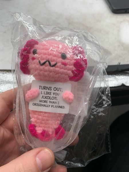 Condition photo showing New/Like New for Gifts for New Relationship, Crushes, Valentines, Anniversaries for Him or Her - Mini Crochet Axolotl - Turns Out I Like You More Than Planned, Will You Be My Girlfriend Boyfriend Gf Bf