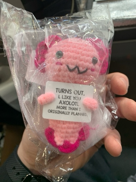 Condition photo showing New/Like New for Gifts for New Relationship, Crushes, Valentines, Anniversaries for Him or Her - Mini Crochet Axolotl - Turns Out I Like You More Than Planned, Will You Be My Girlfriend Boyfriend Gf Bf