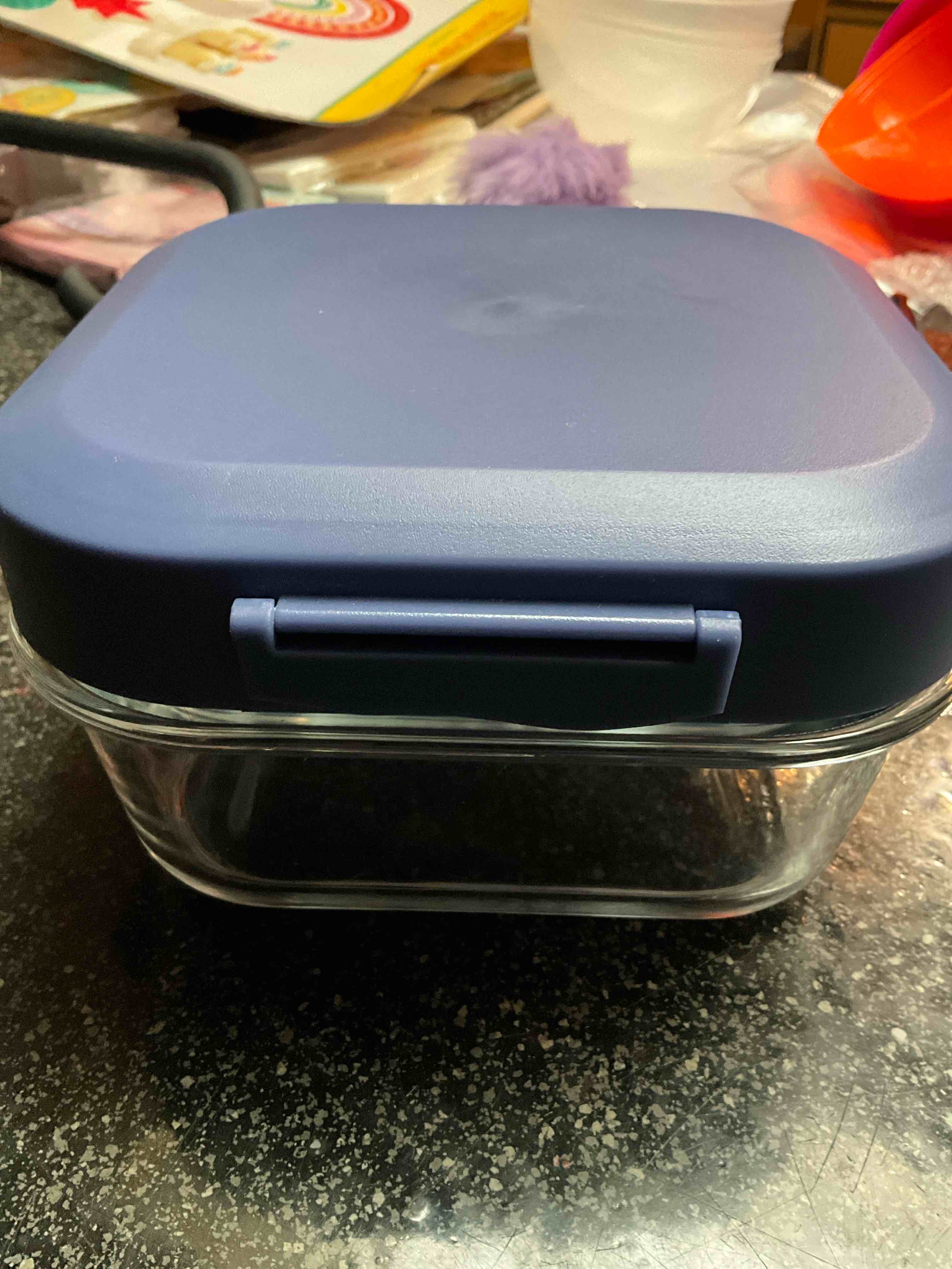 Glass - Top Locking - Lunch/Food Storage Container 