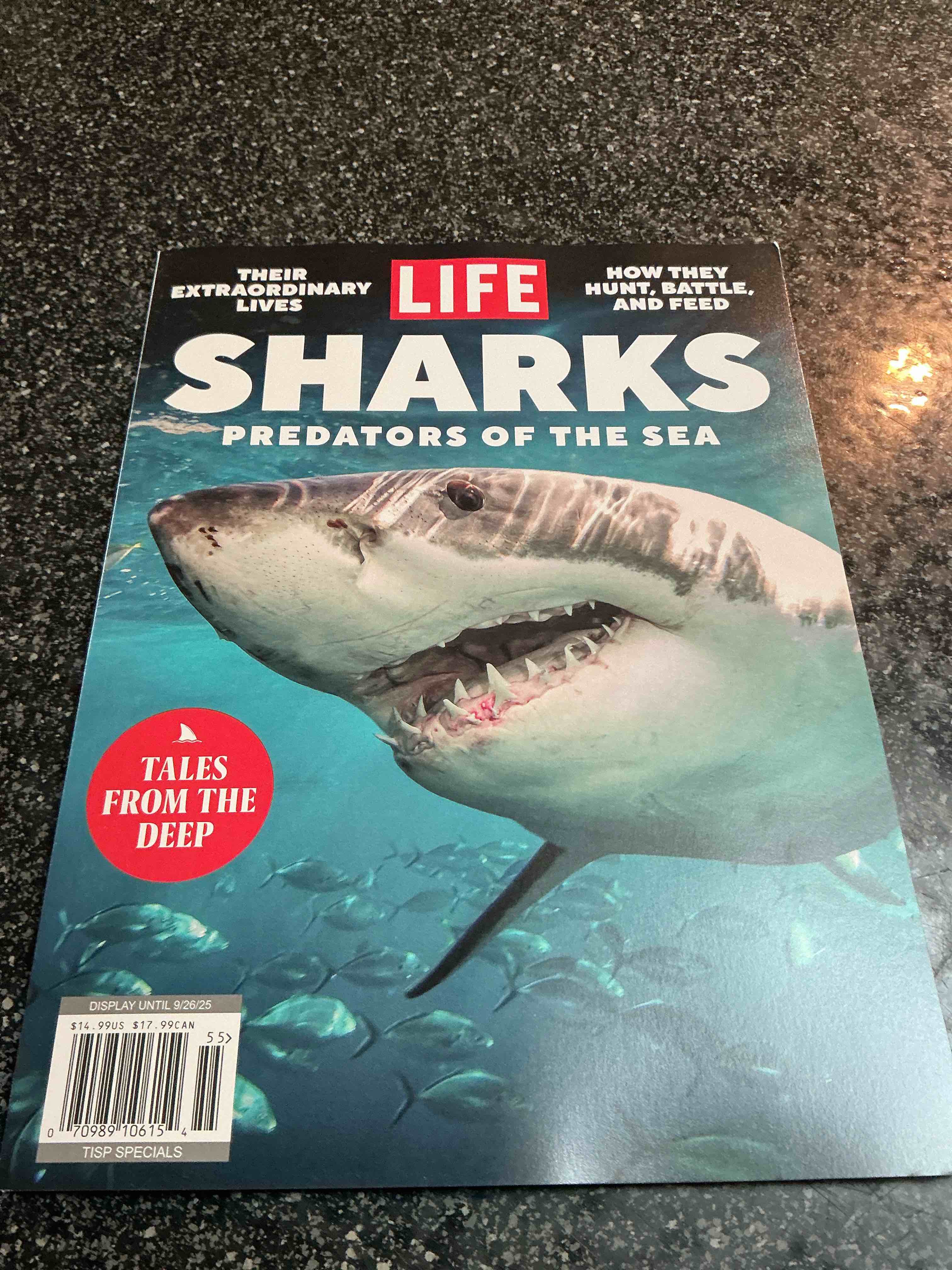 Life Sharks Predators Of The Sea 