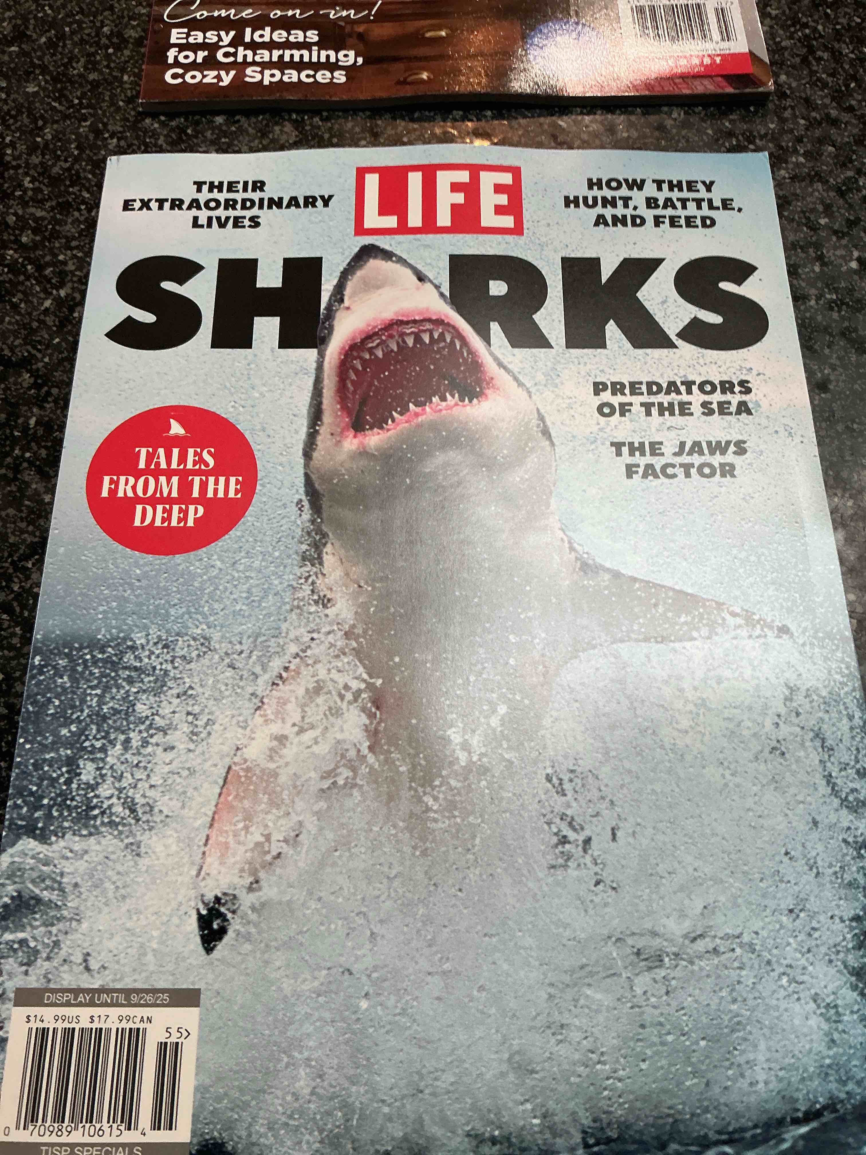 life sharks their extraordinary lives  tales of the sea 