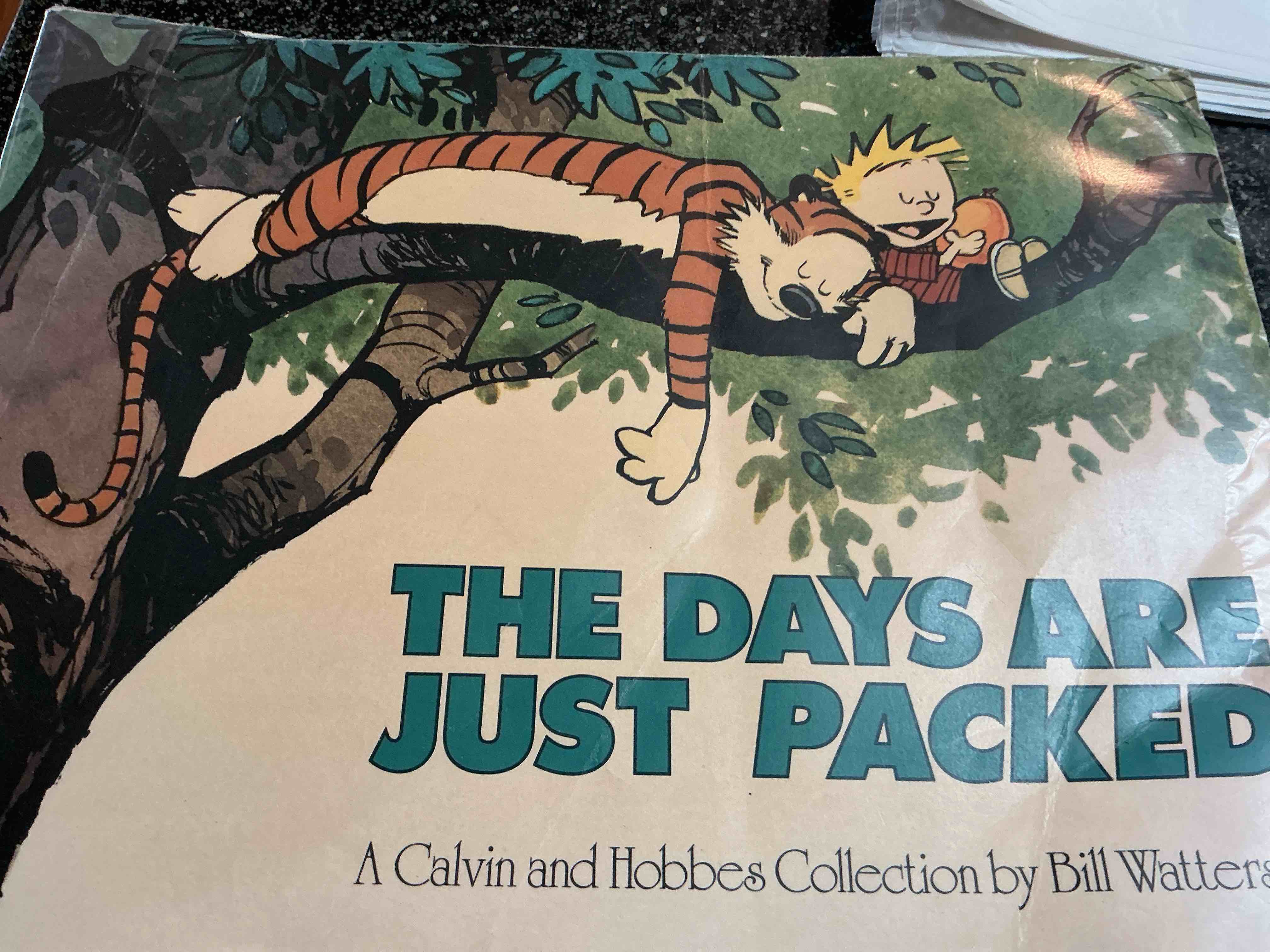 The Days Are Just Packed 