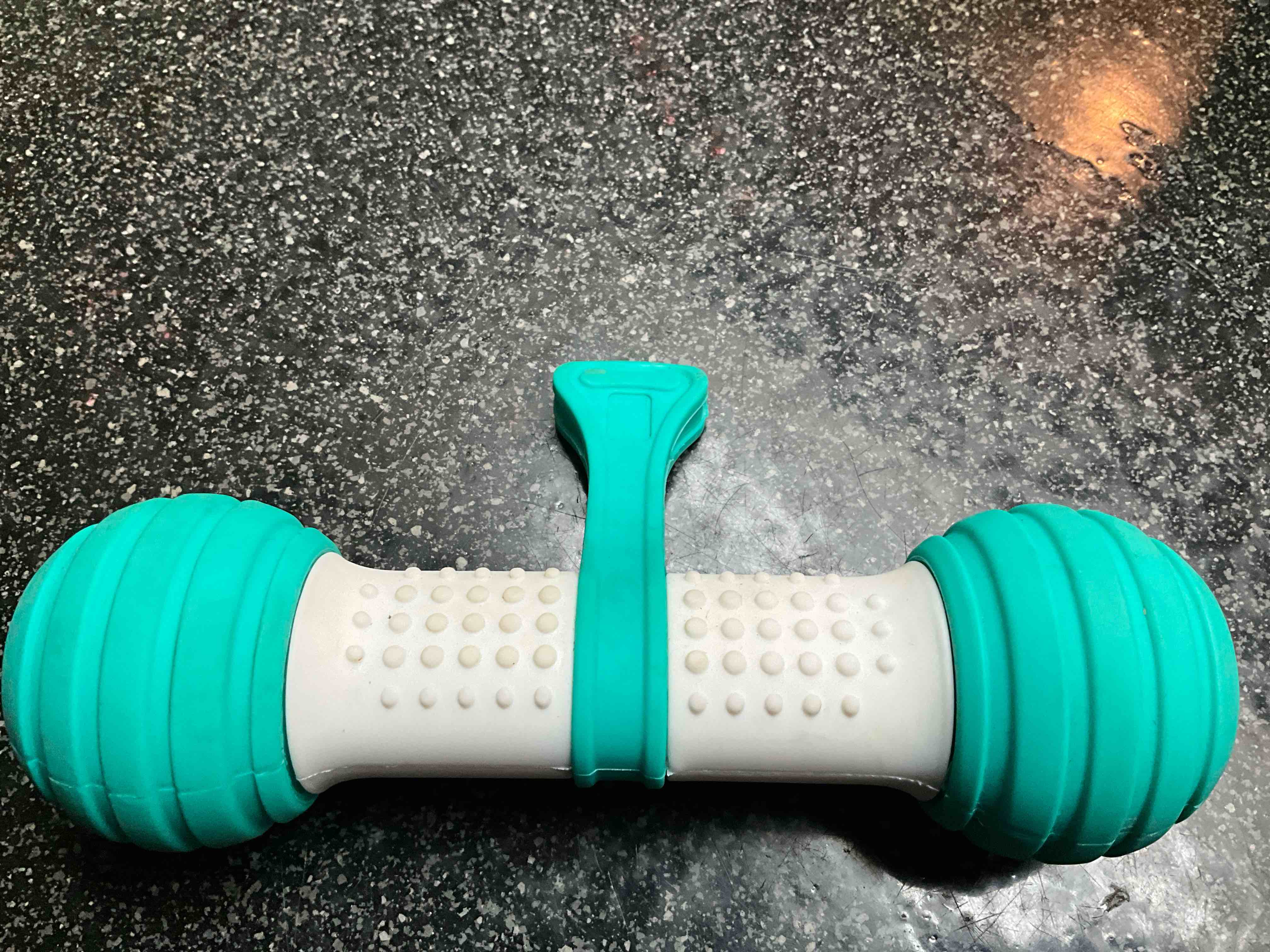 Rolling - Lighted - Dog Toy 