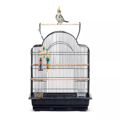 For All The Furry, Feathered, Gilled - Babies!
