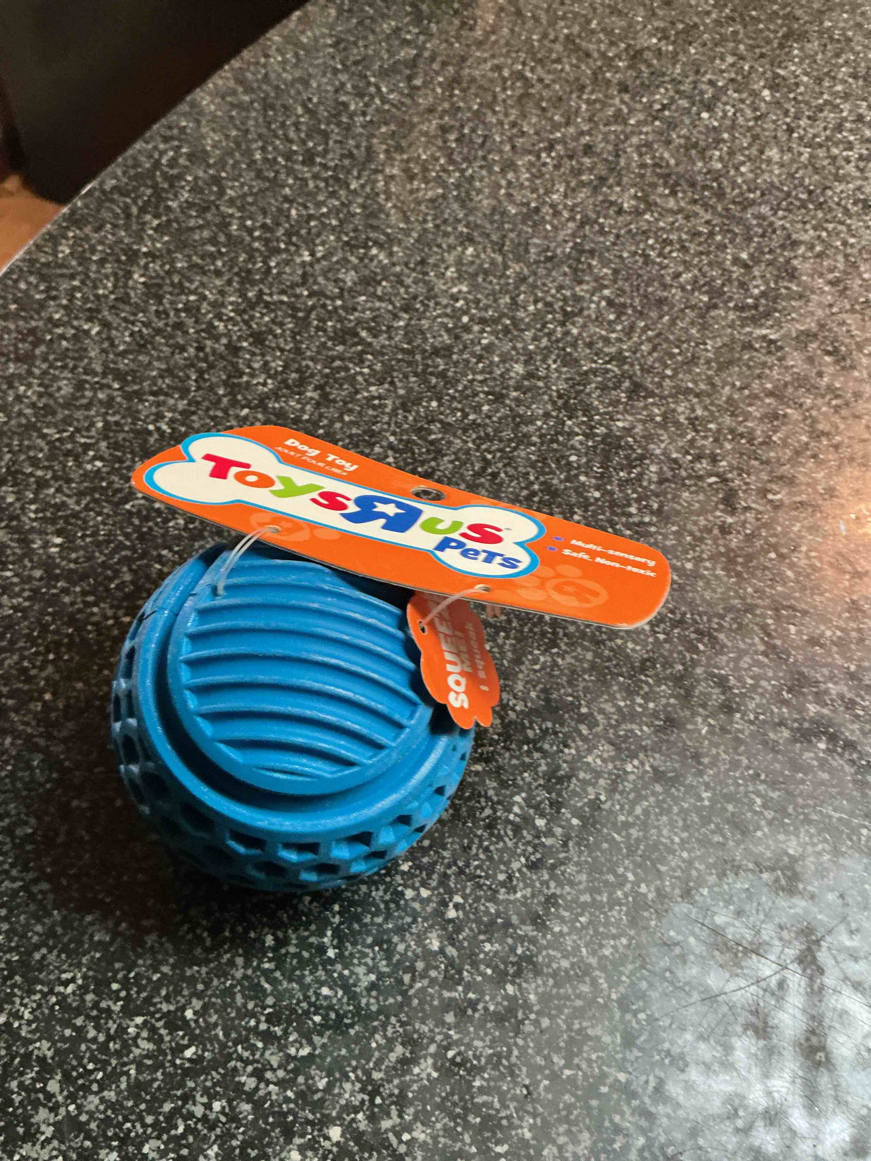 Toys R Us Pets. Dog Squeeze Toy 