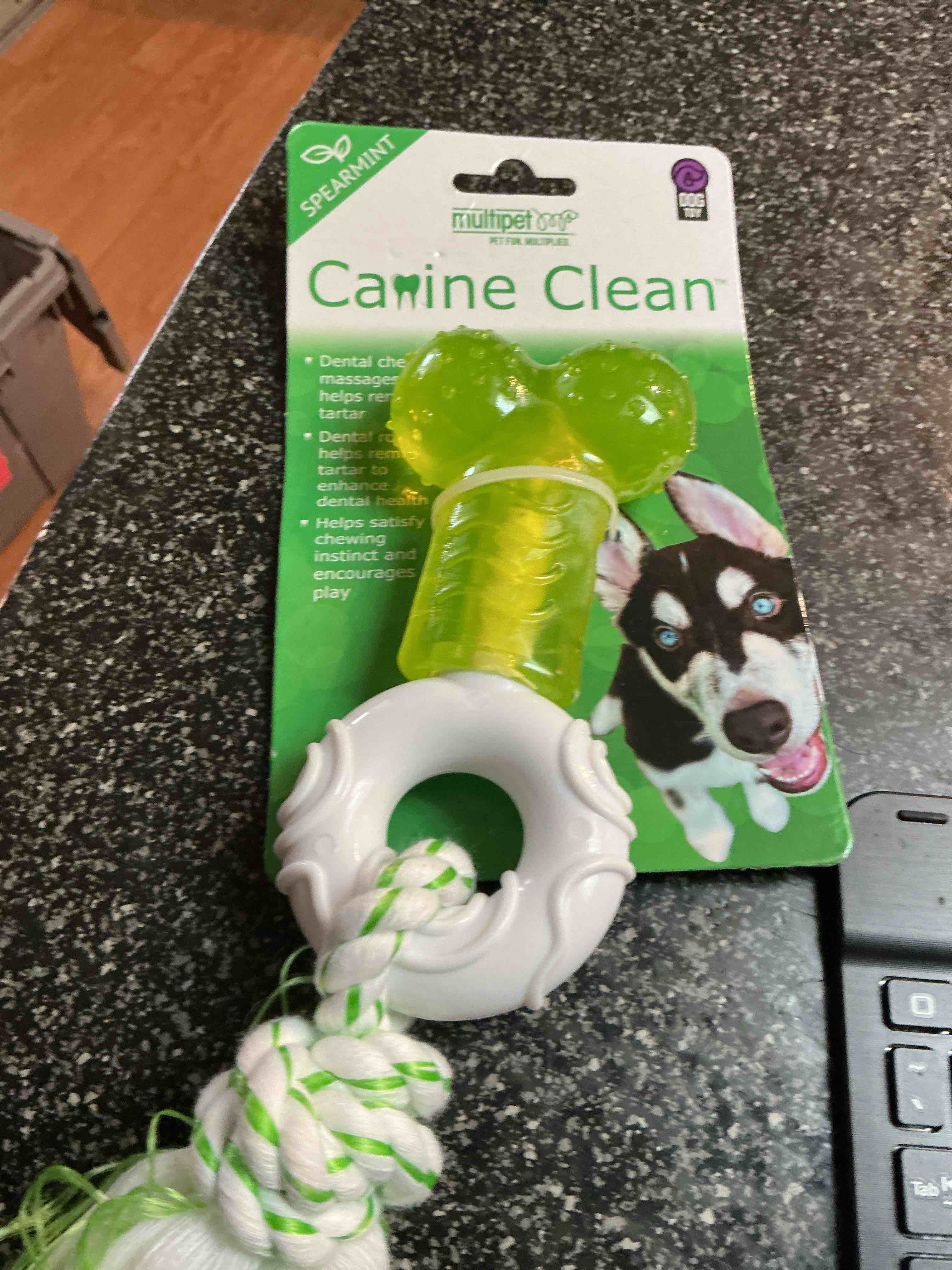 Multipet -  Caine Clean Spearmint Chew