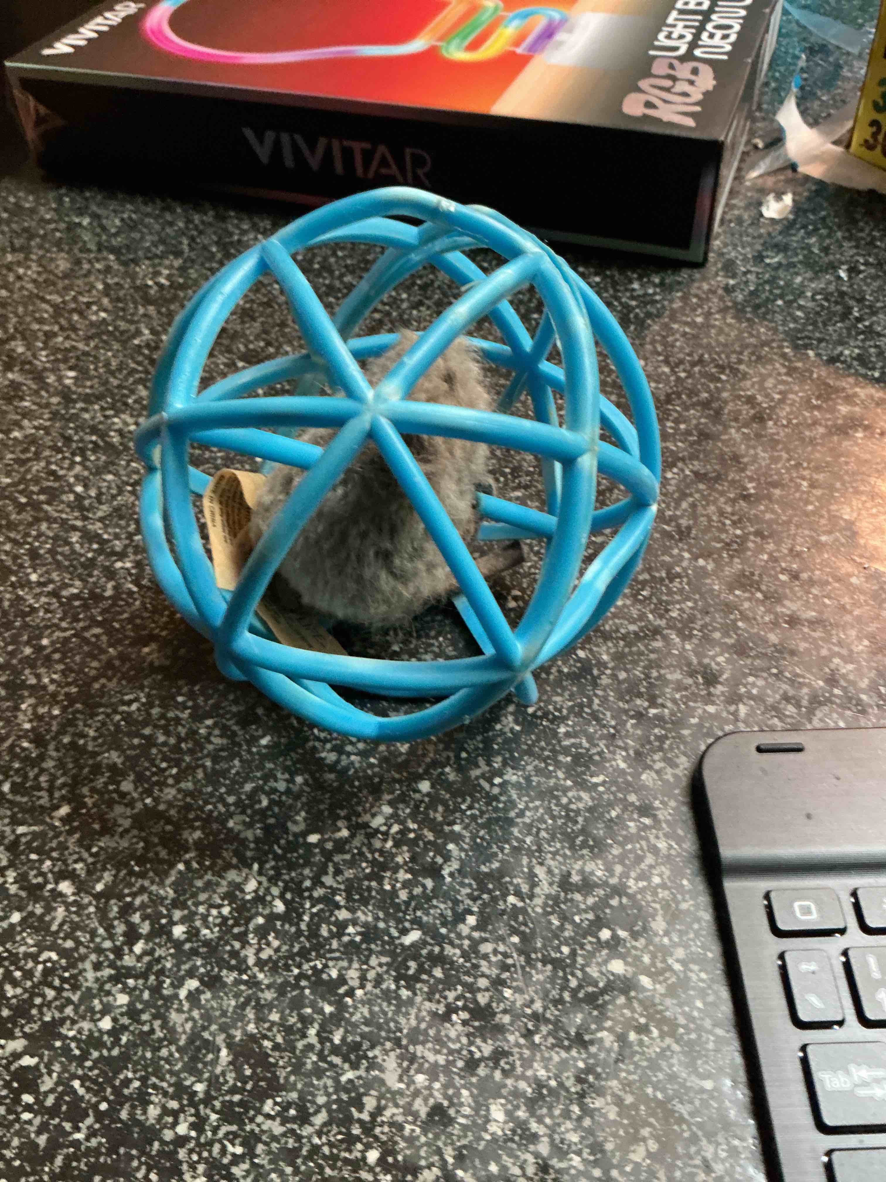 Cat Ball Toy 
