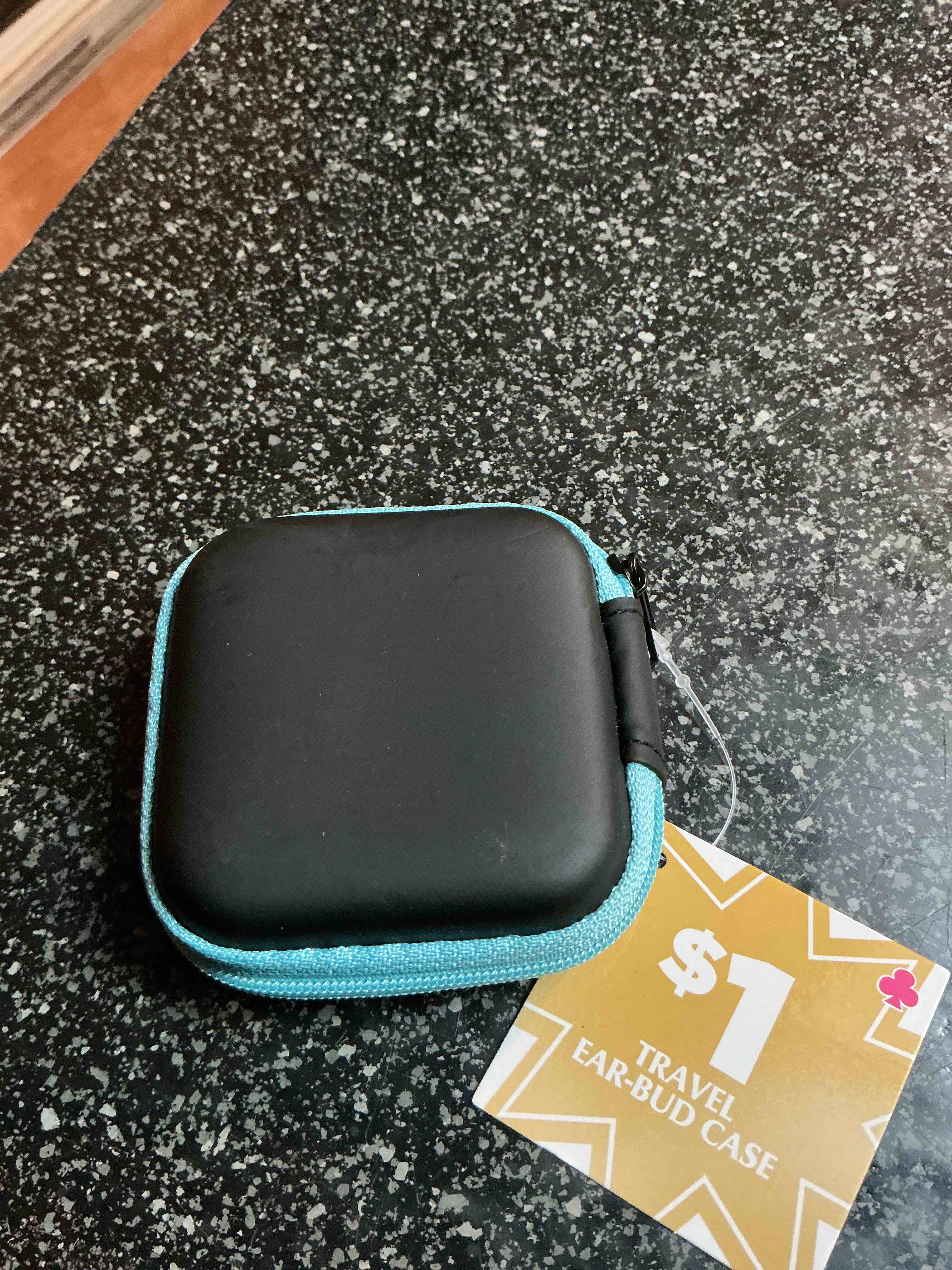 Travel Ear-Bud Case 