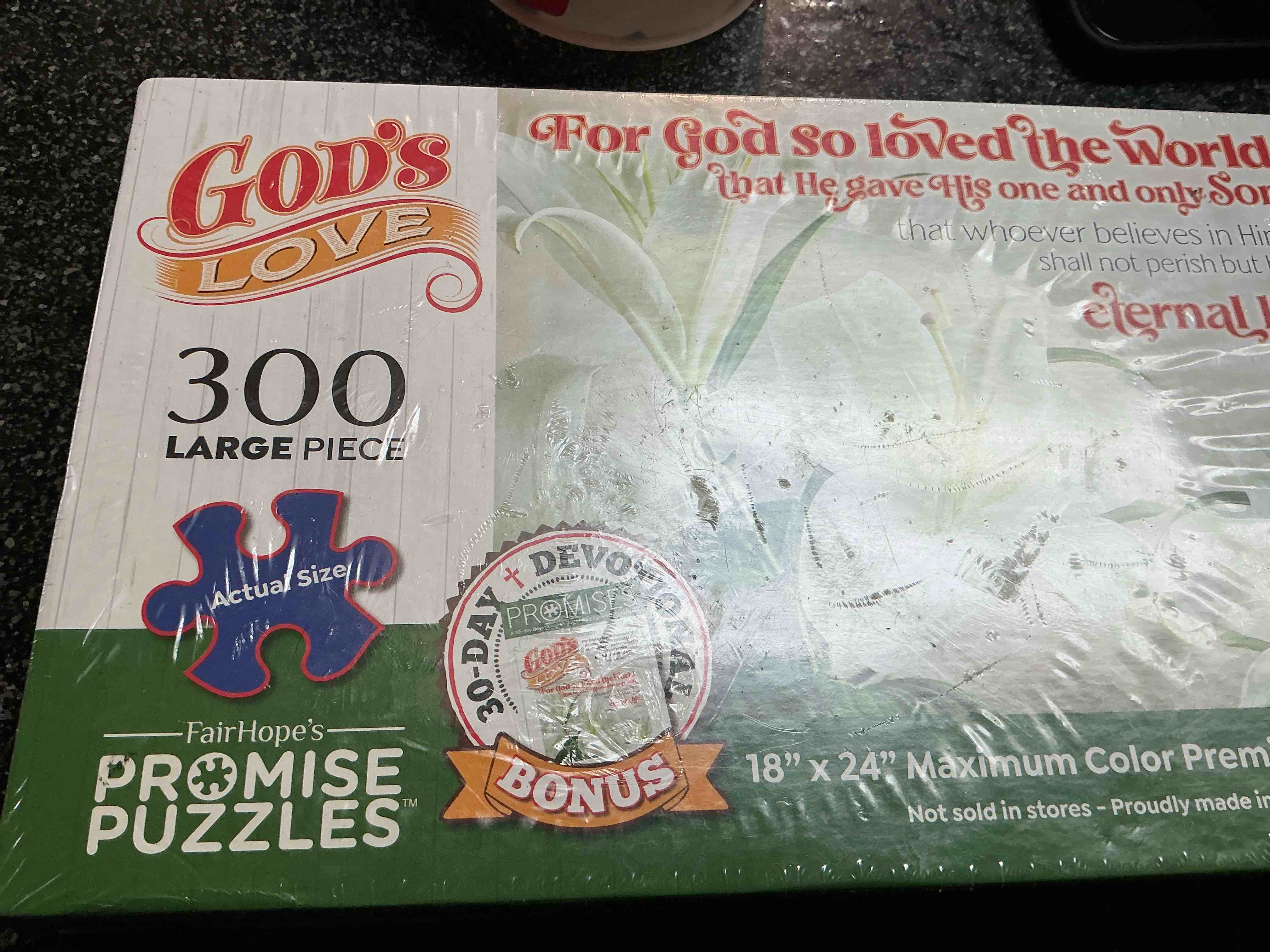 God’s Love 300 Large Piece Puzzle Size 18”X24” Maxium Color Premium Puzzle 
