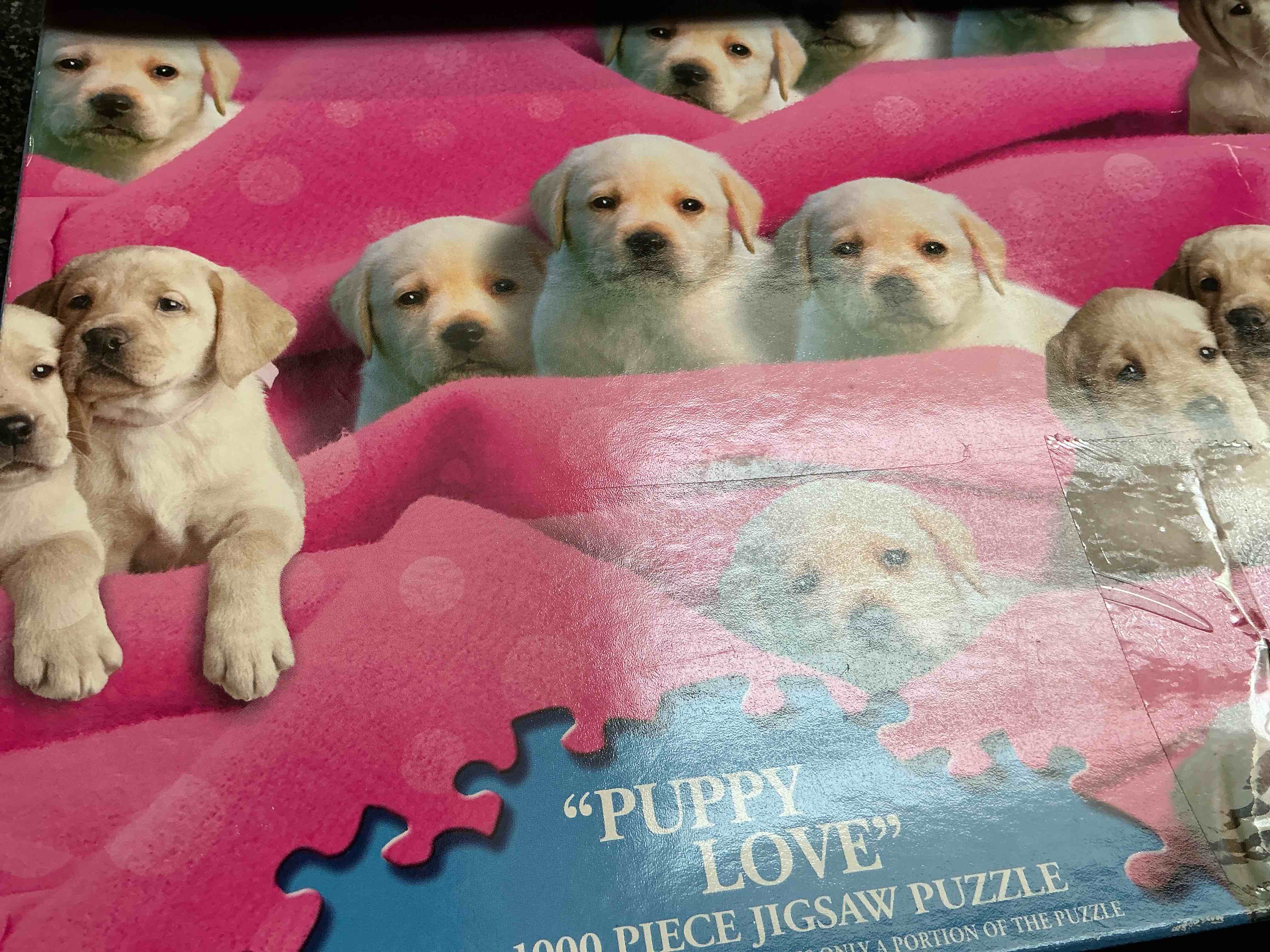 https://s3.amazonaws.com/lotting-images-prod/webster/WBS6307611_1753480256730.jpeg