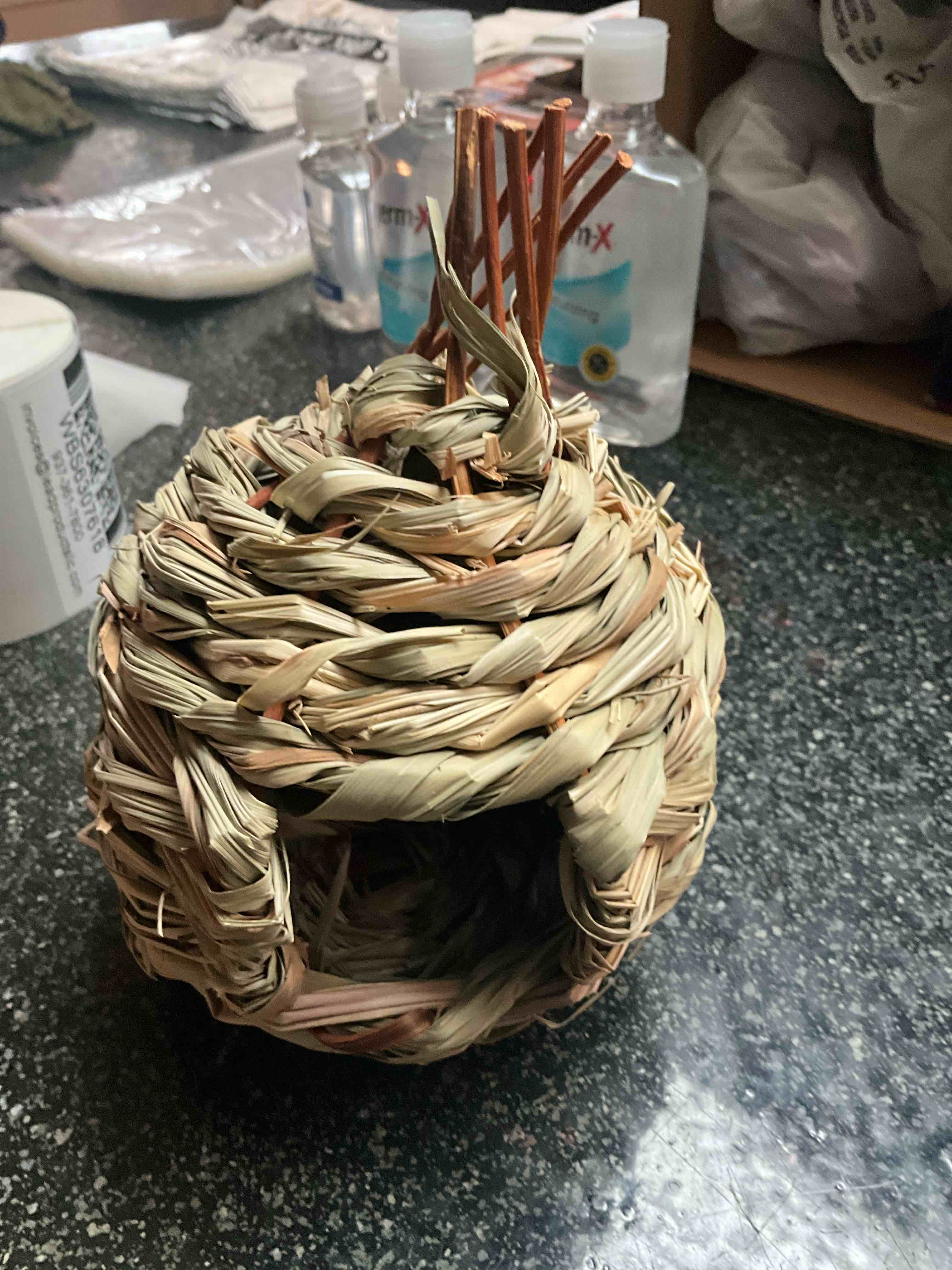 Hanging Bird House 