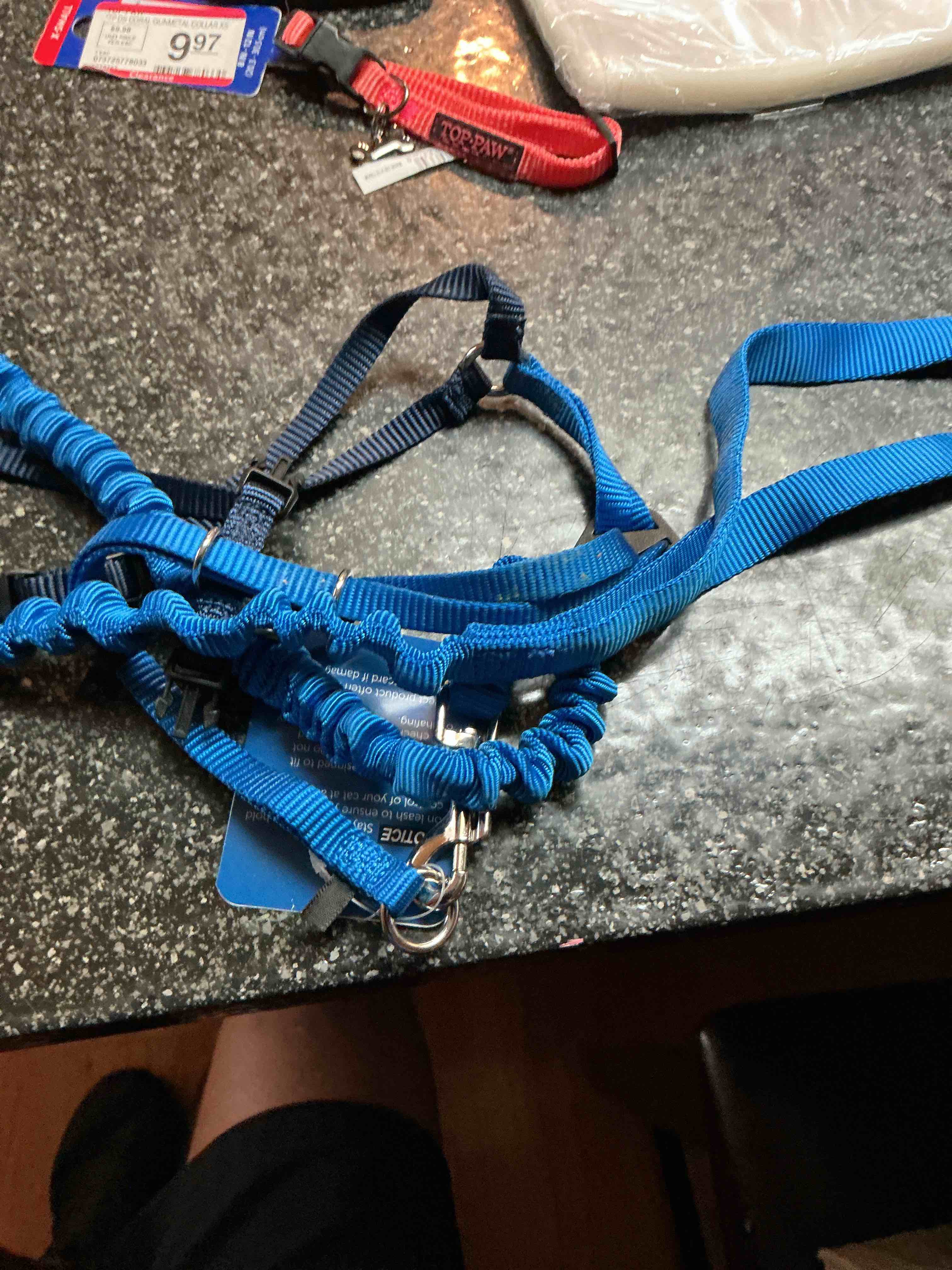 Petsafe Adjustable Dog Harness & Leash Blue 