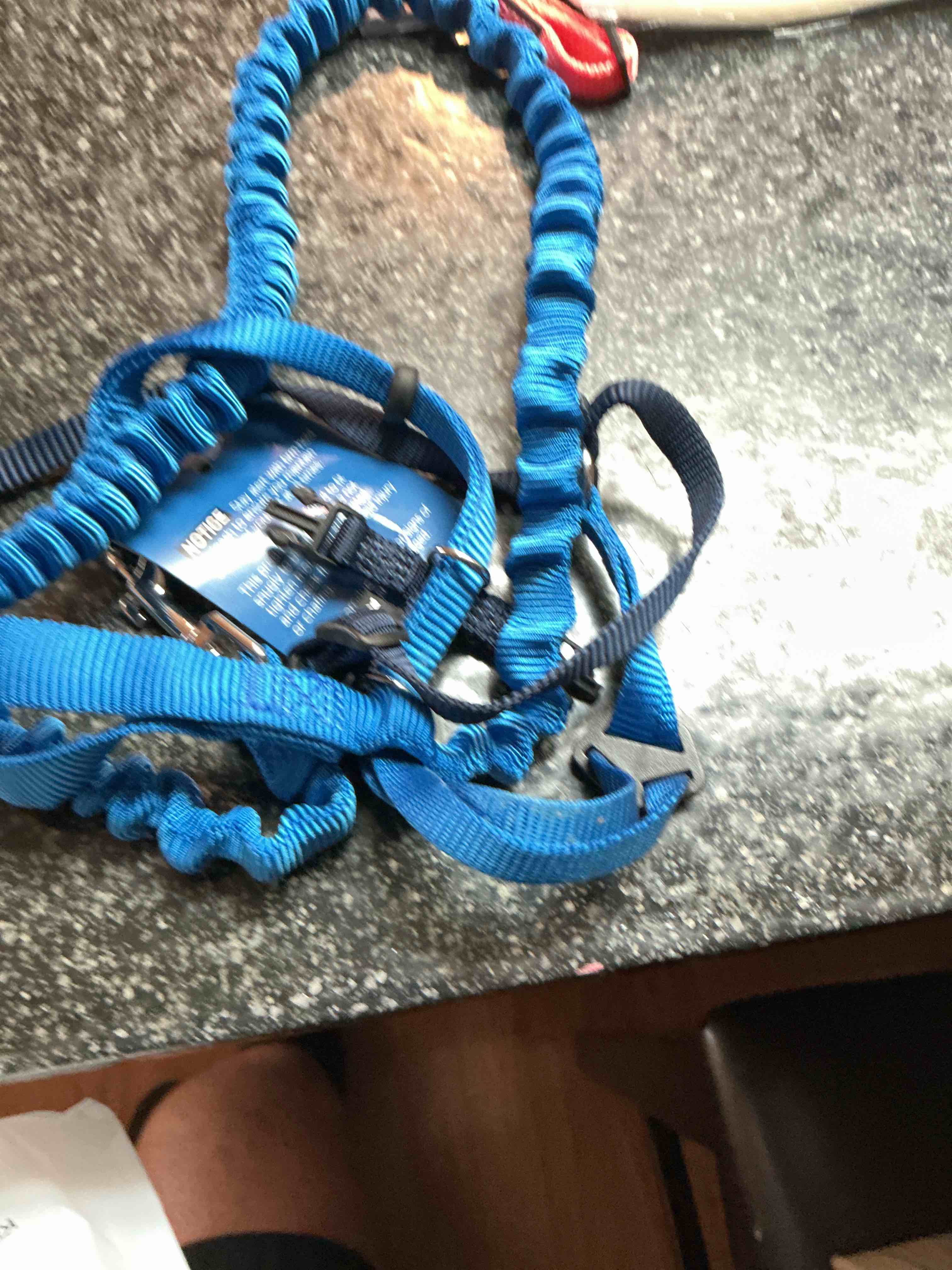 https://s3.amazonaws.com/lotting-images-prod/webster/WBS6307628_1753544129005.jpeg