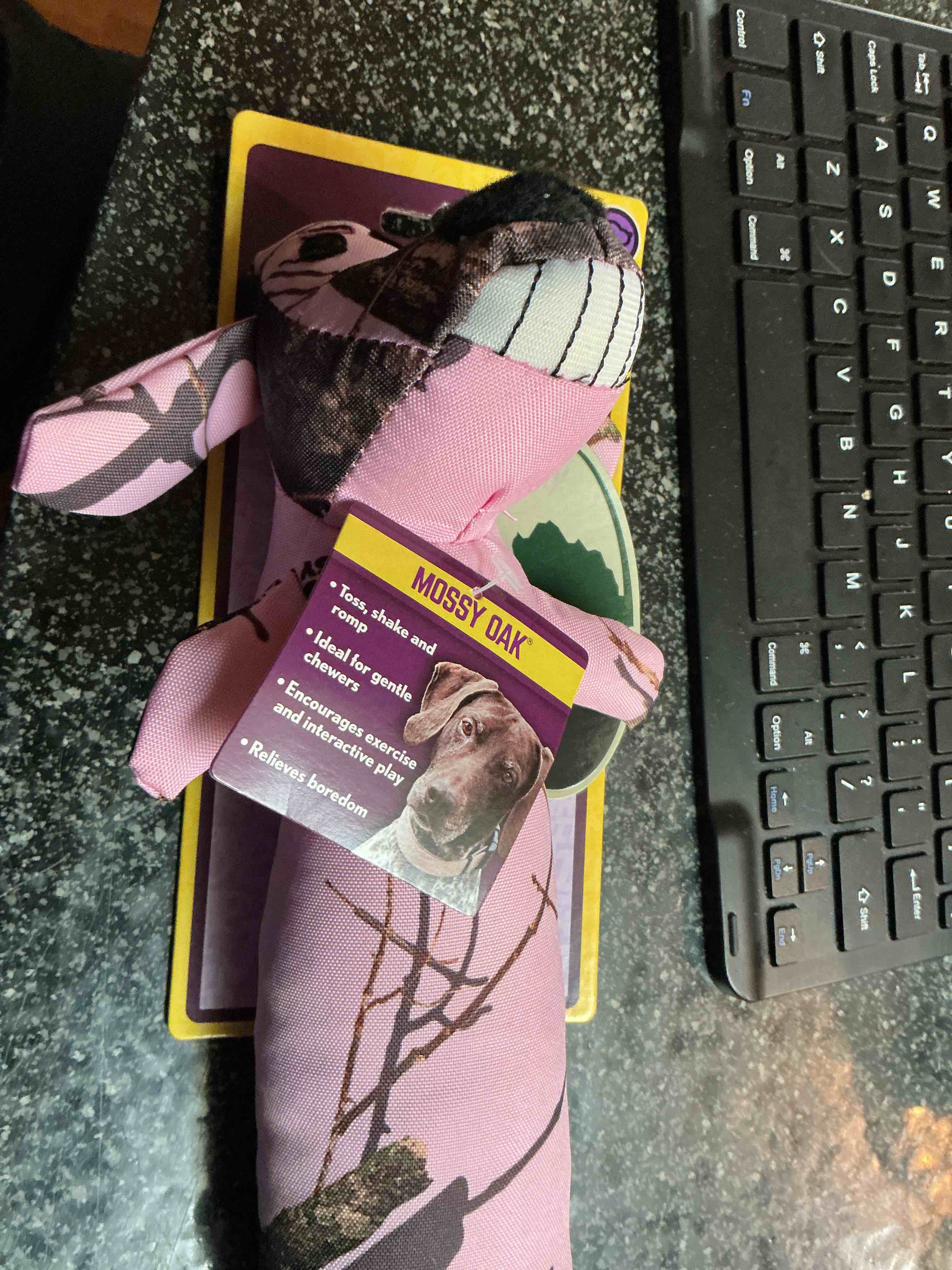 https://s3.amazonaws.com/lotting-images-prod/webster/WBS6307730_1753566389312.jpeg