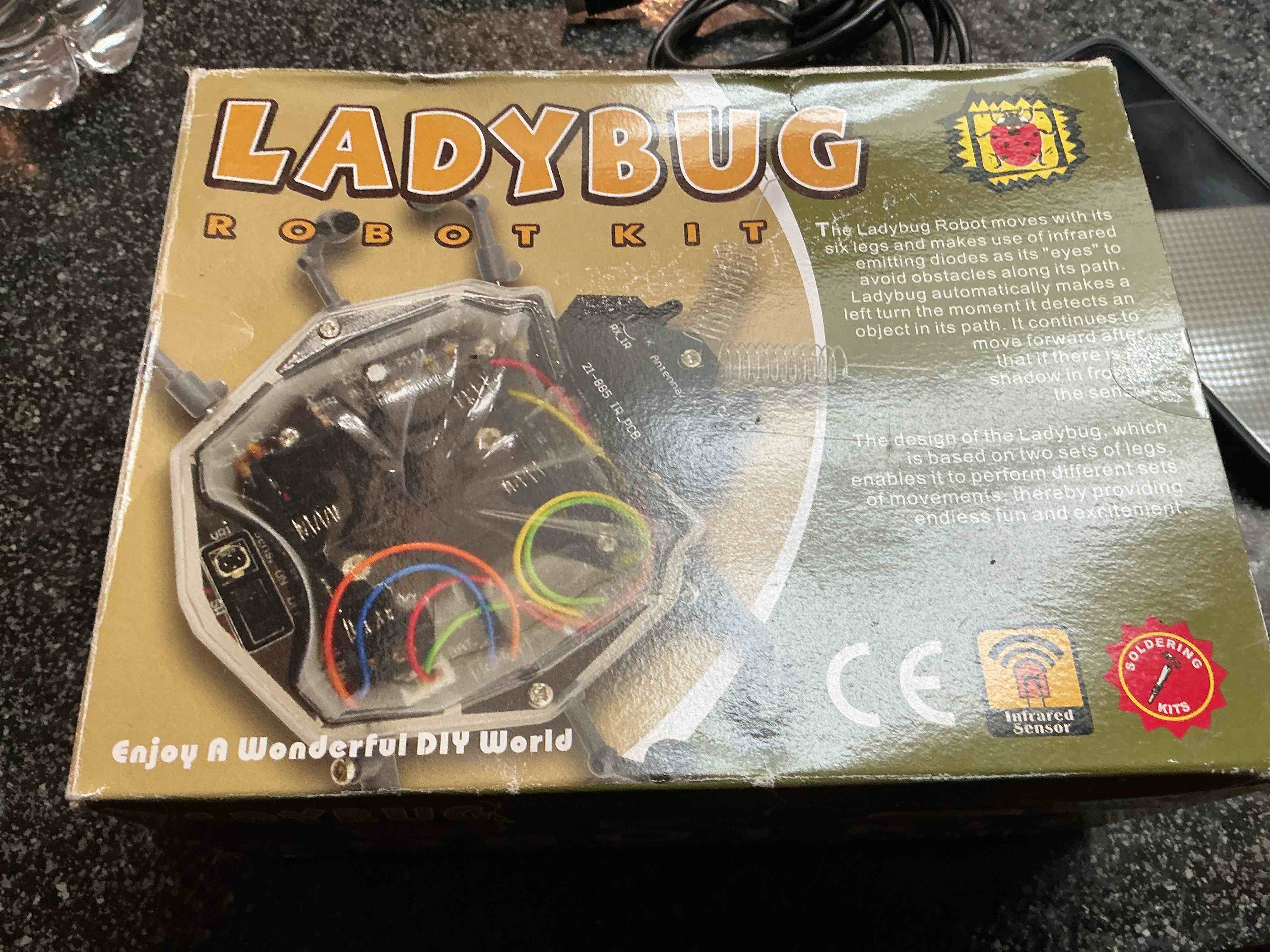 Ladybug Robot Kit  Enjoy A Wonderful DIY World 