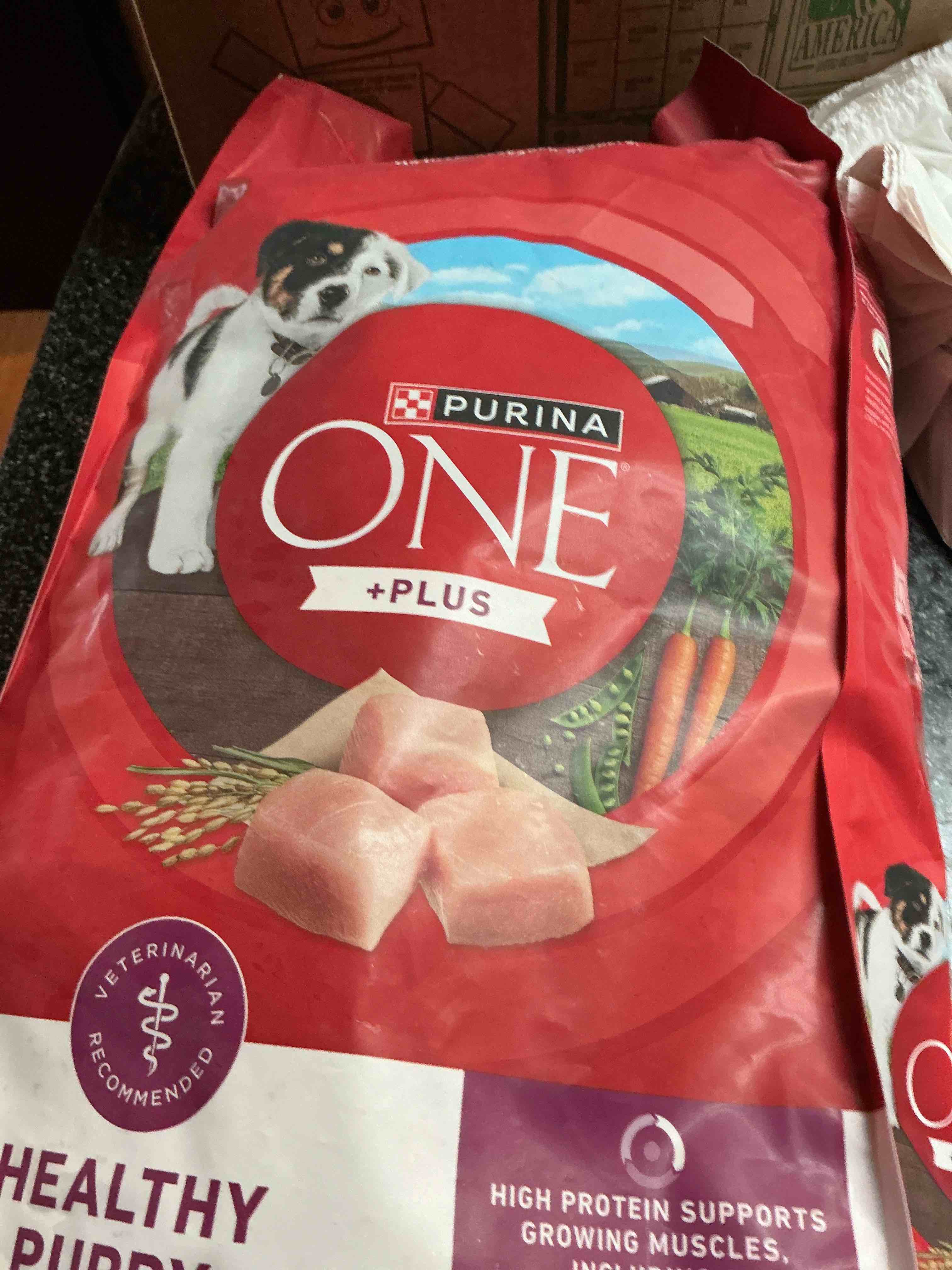 Purina 1 Plus Healthy Puppy Formula 8 Lb. bag 