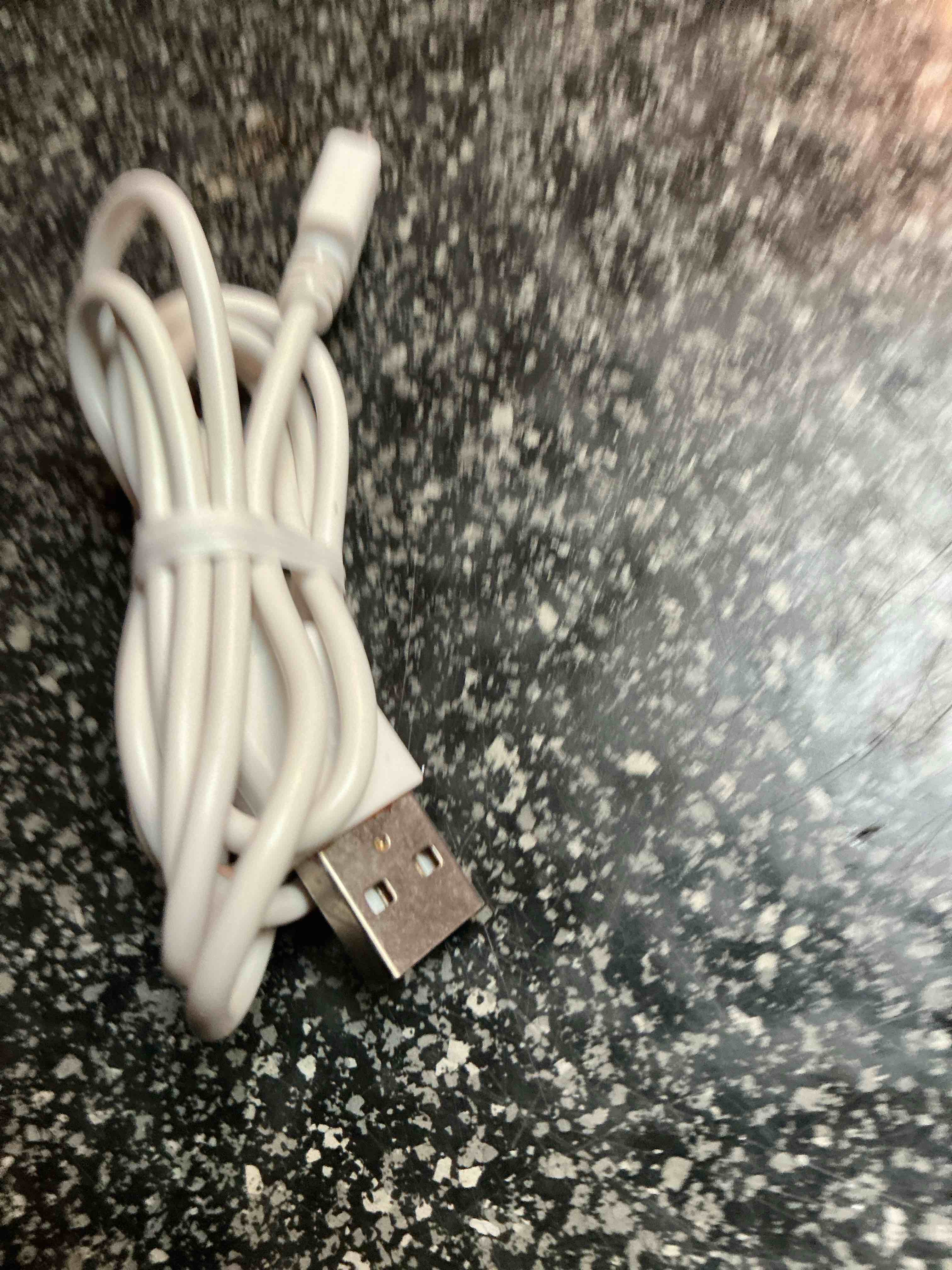 https://s3.amazonaws.com/lotting-images-prod/webster/WBS6308262_1754874270894.jpeg