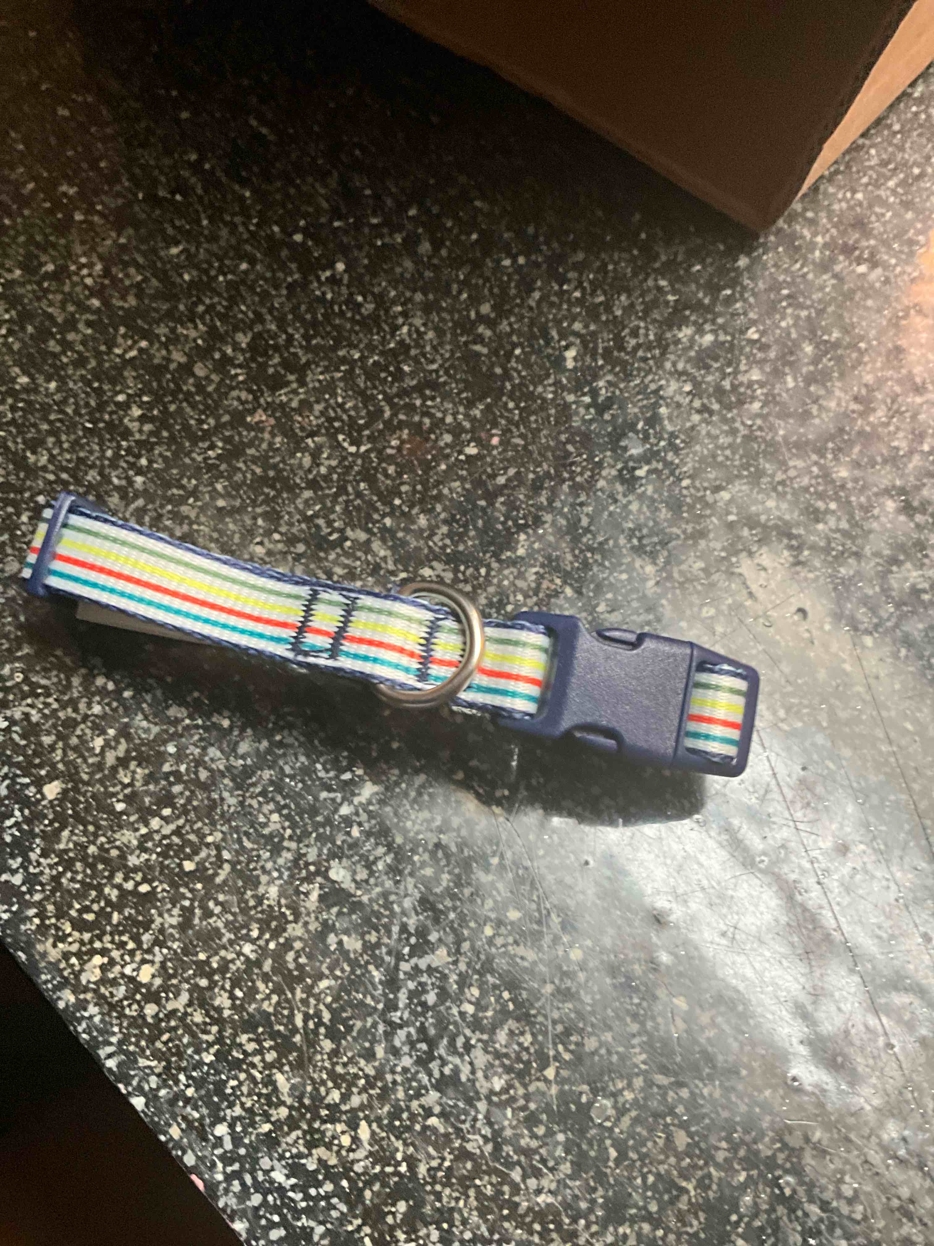 top paw - pet collar - size - s