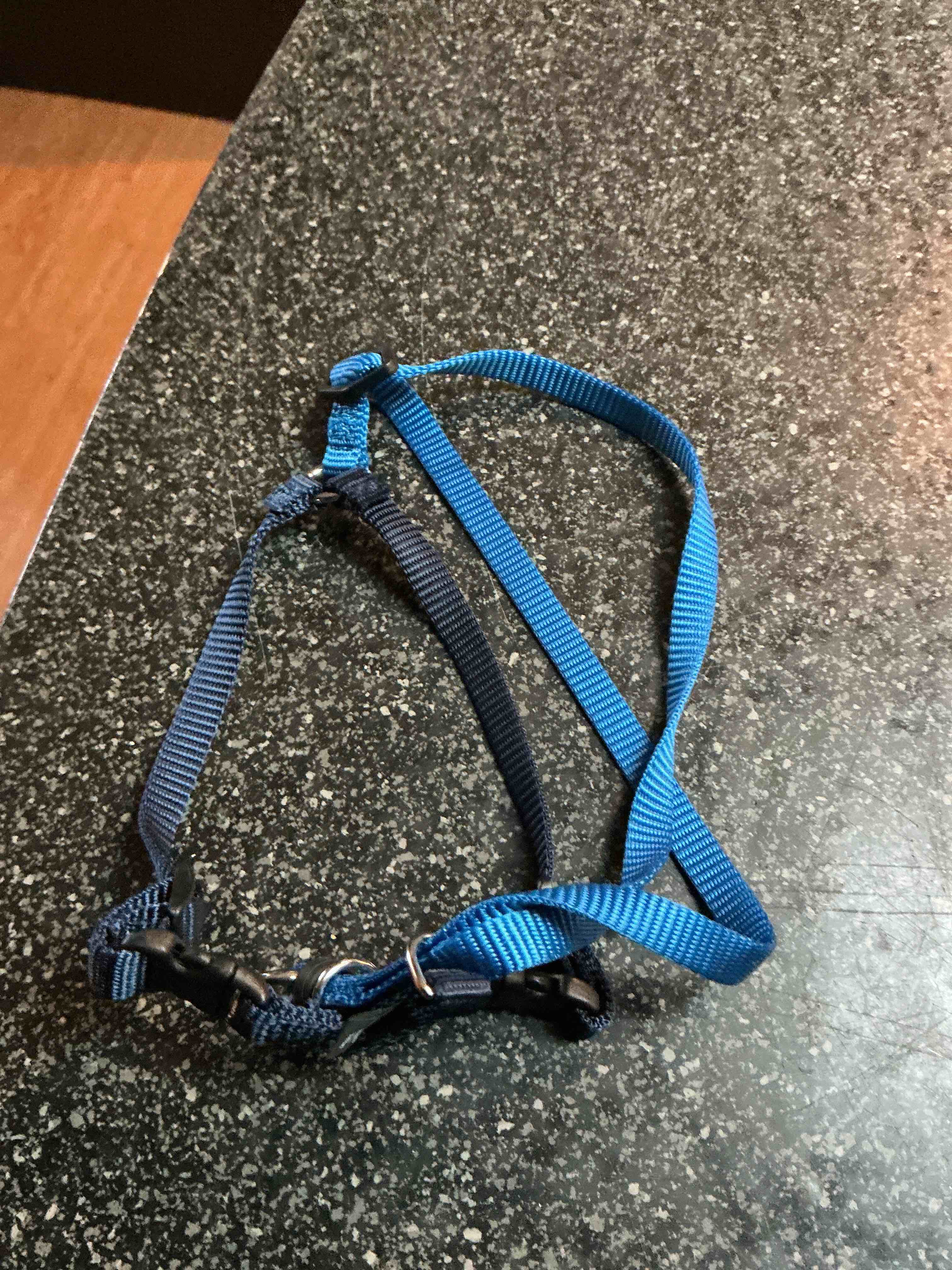 Blue Dog Harness Size Medium 