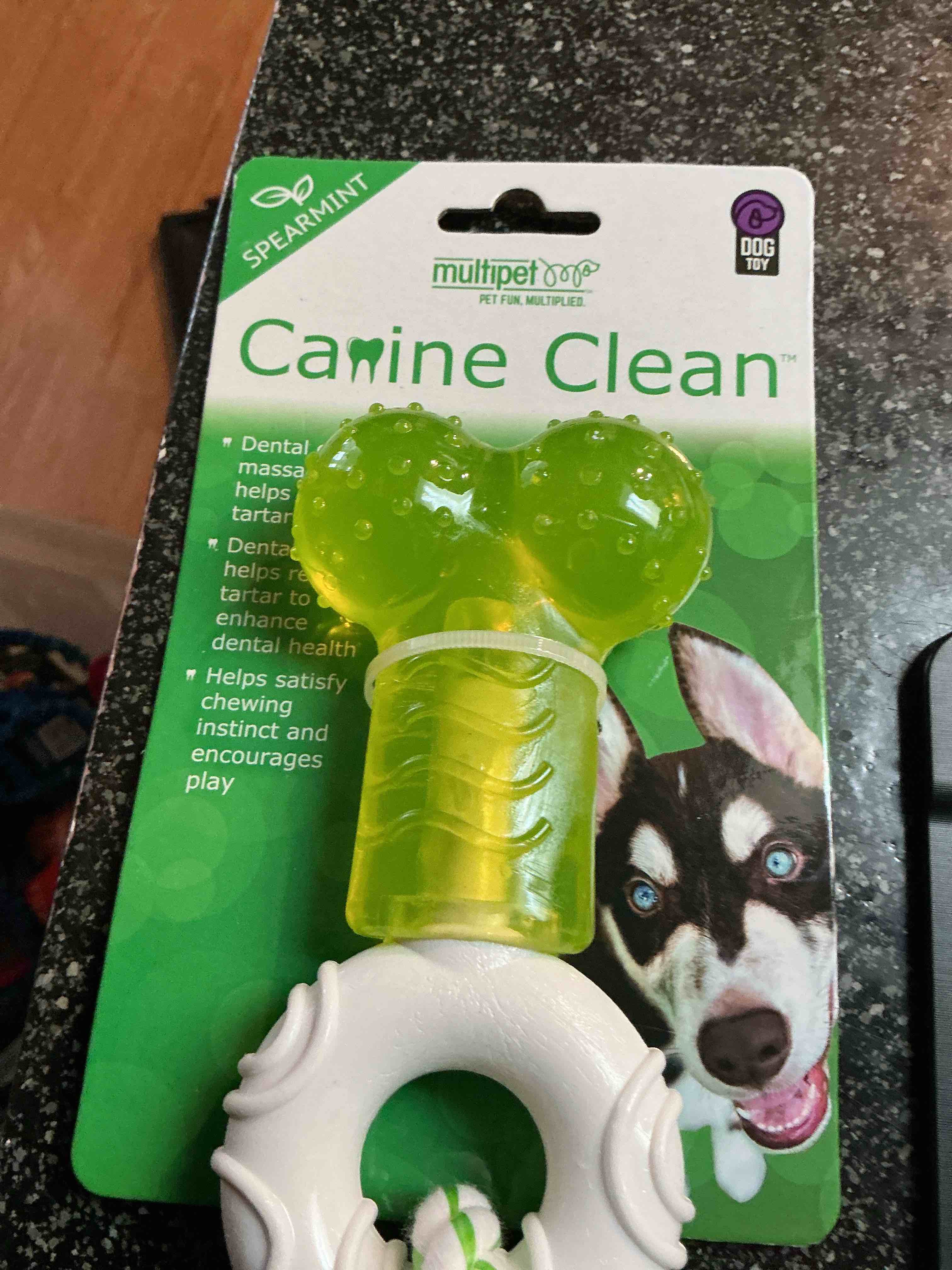 Multipet Canine Clean  Spearmint 