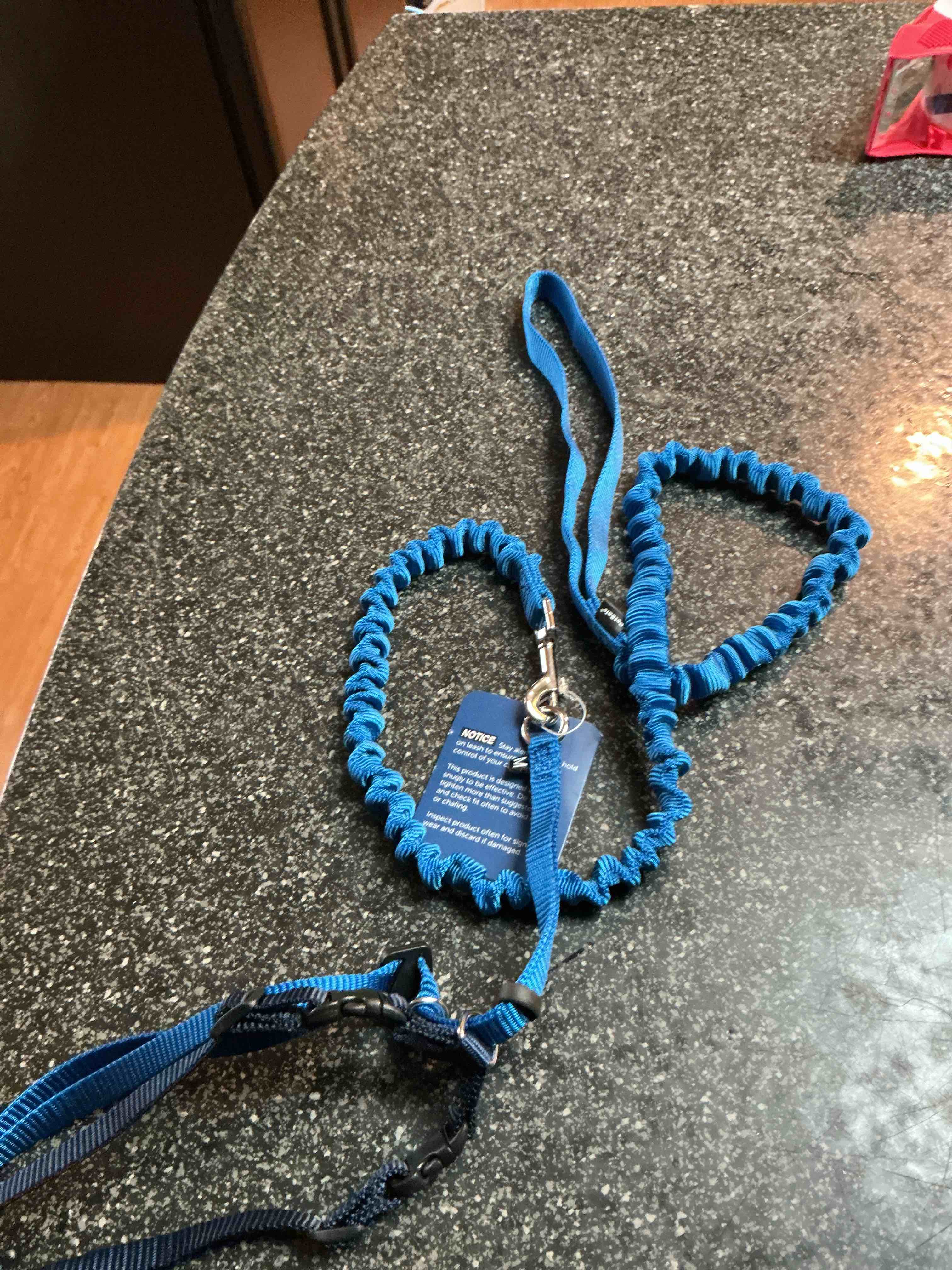 Dog Leash & Harness Size Small Blue 