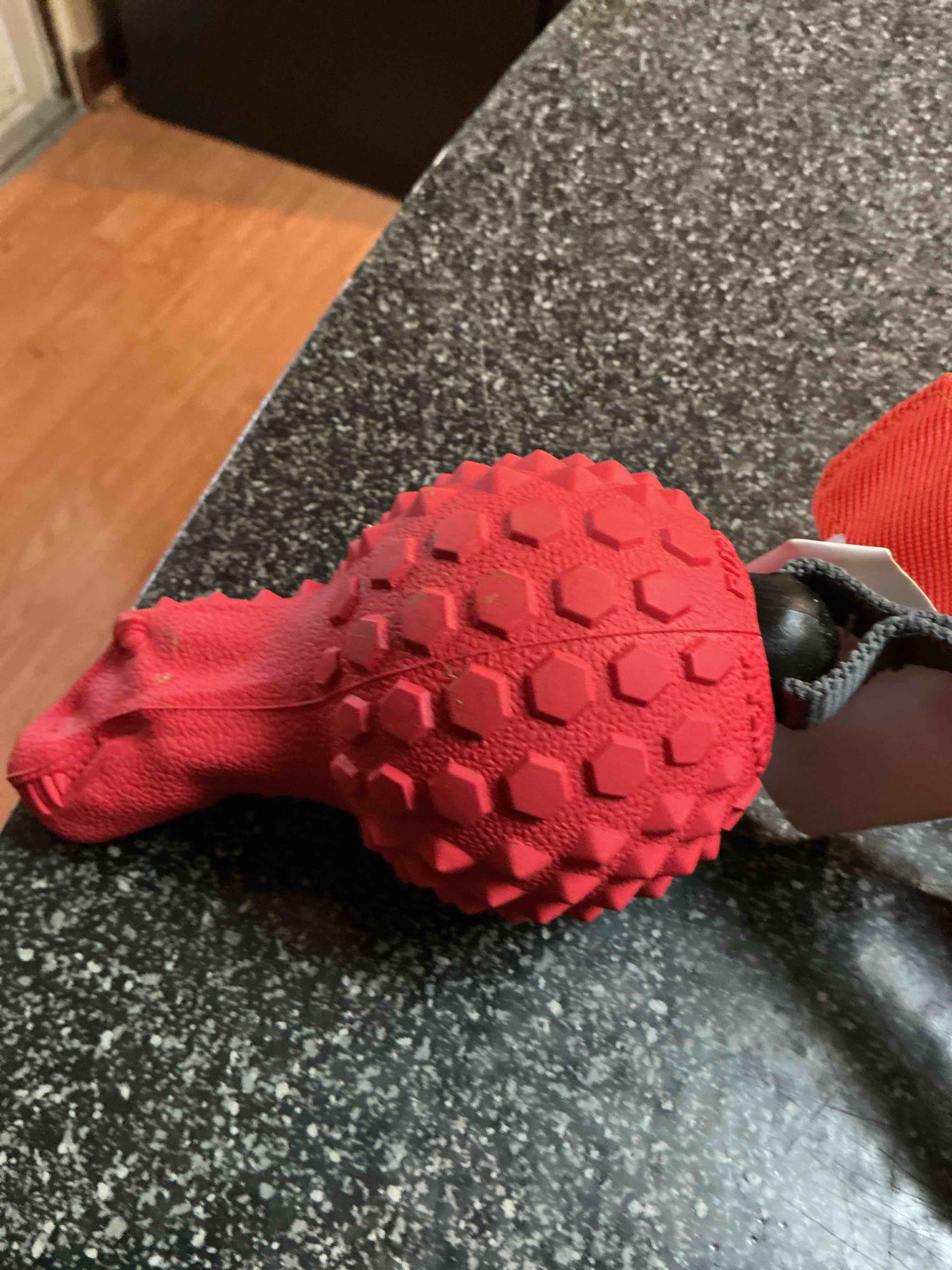 Red Dinosaur Push To Mute Dog Toy