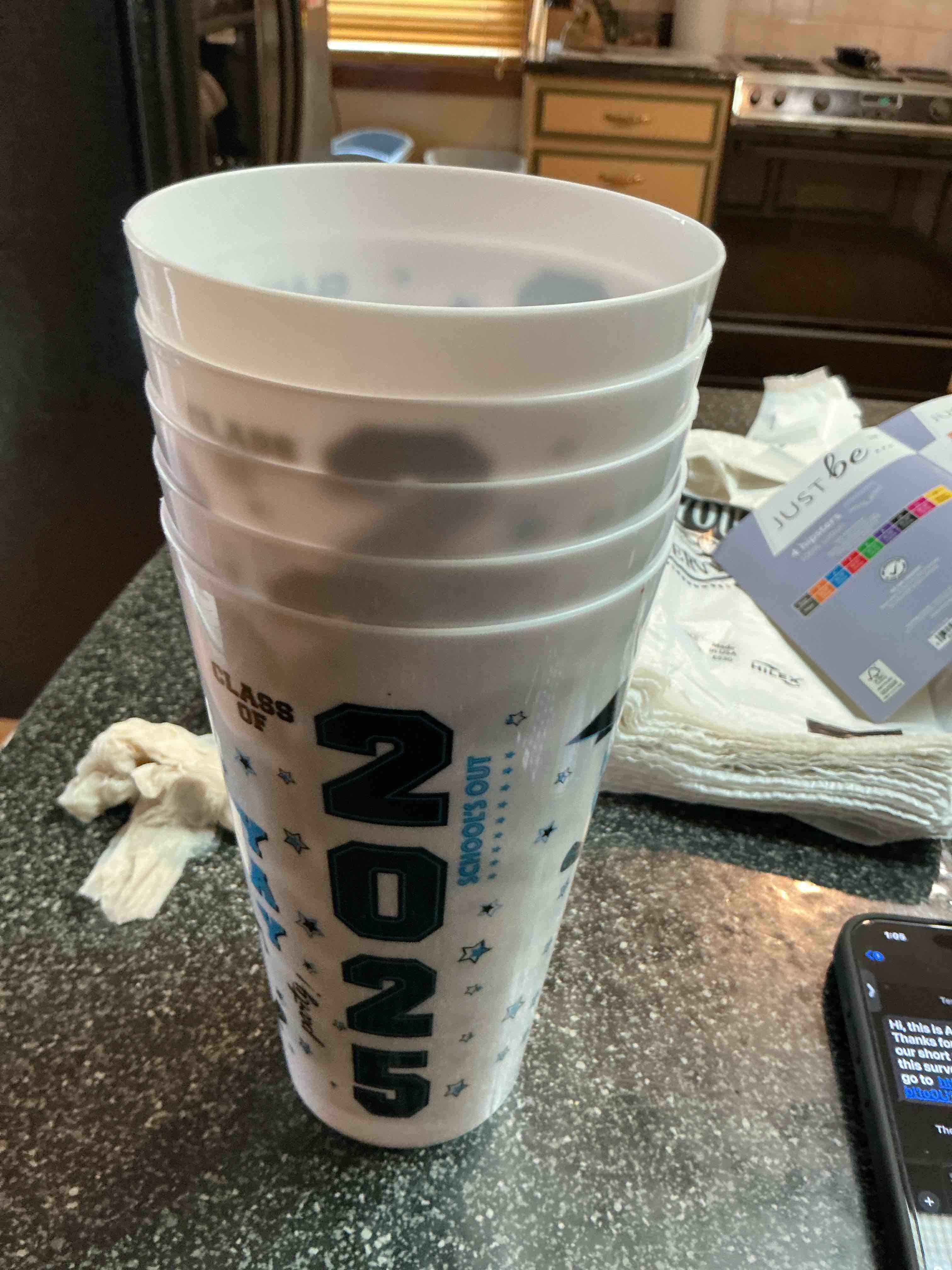 White 2025 Party Cups 