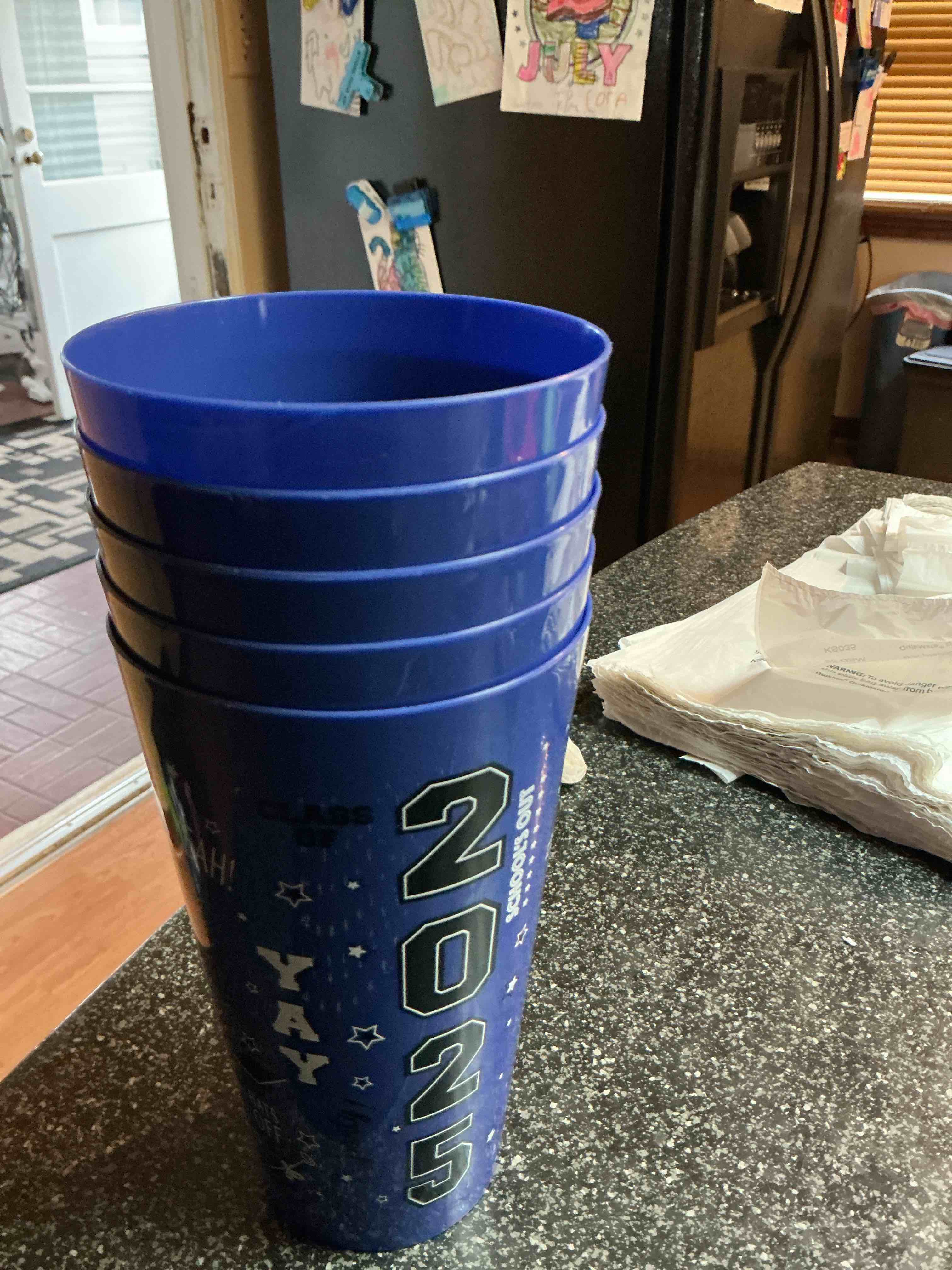 2025 Large Blue Cups 