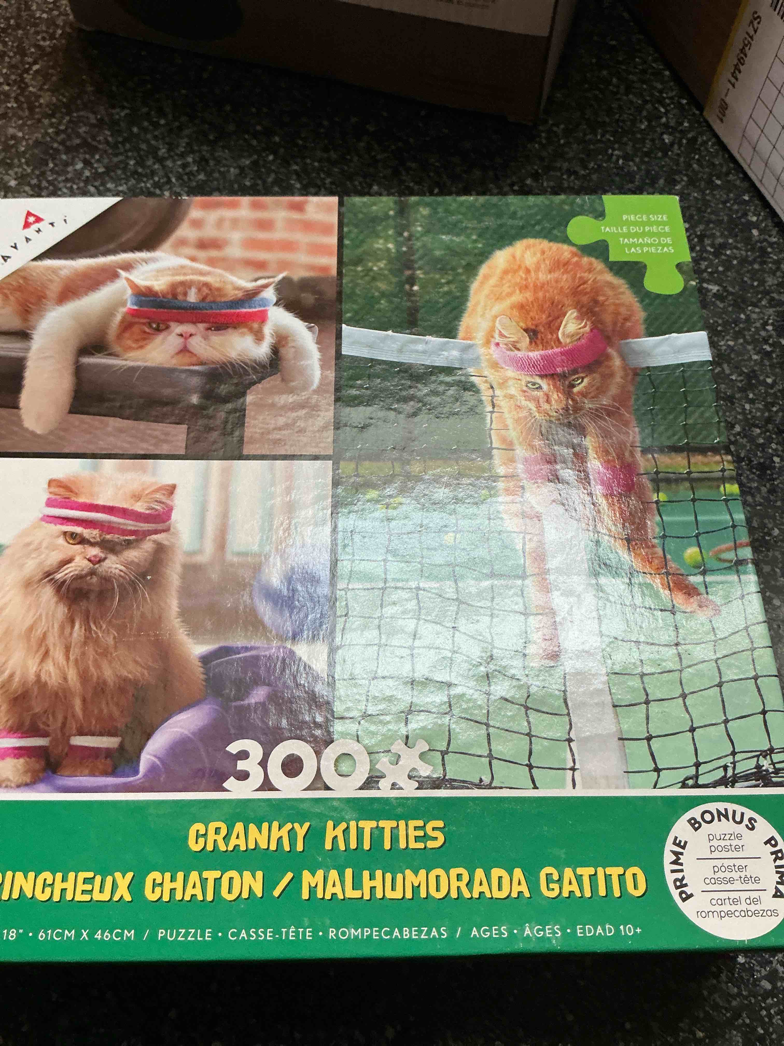 Ayanti 300 Pc. Puzzle Cranky Kitties 