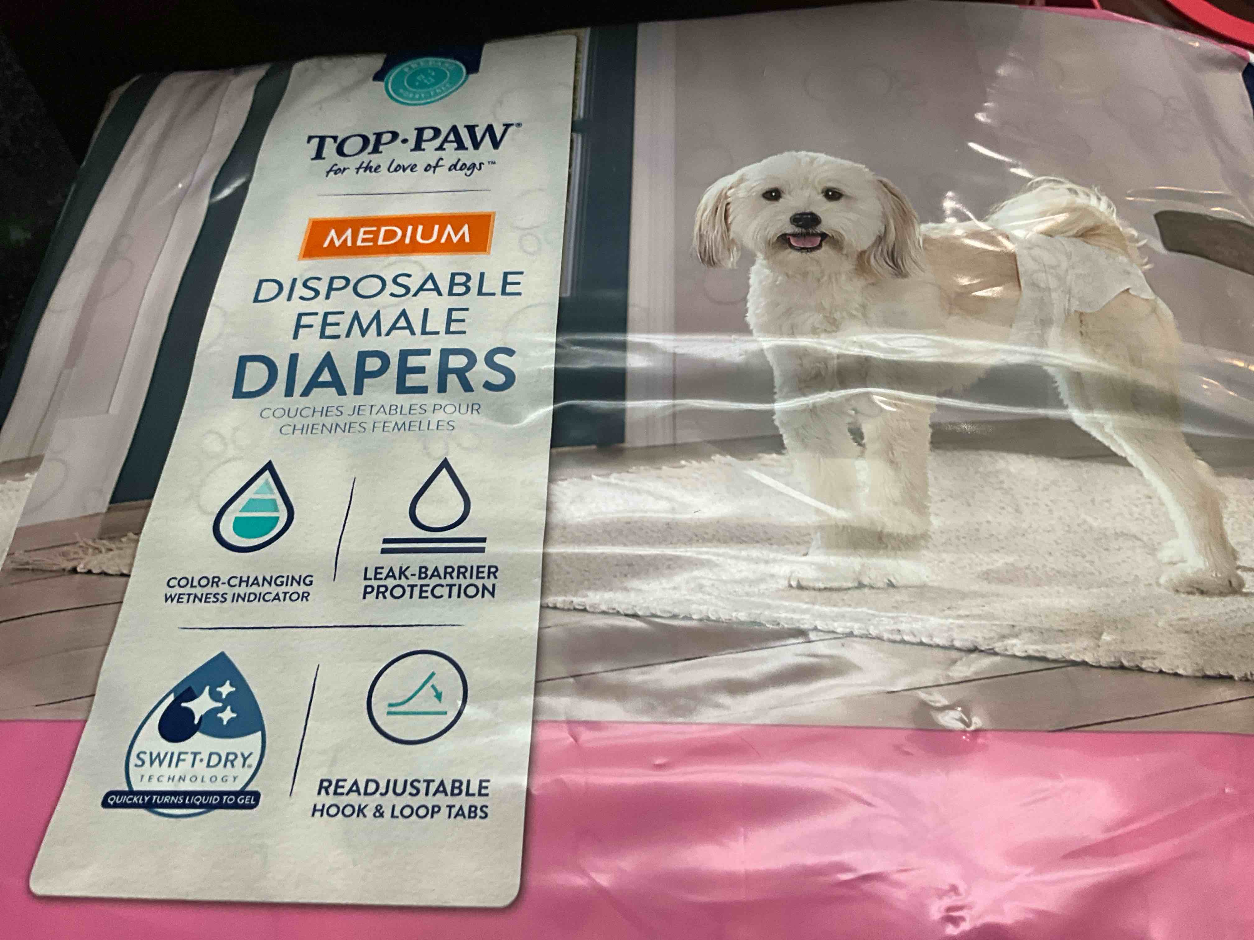 https://s3.amazonaws.com/lotting-images-prod/webster/WBS6309040_1756686006777.jpeg