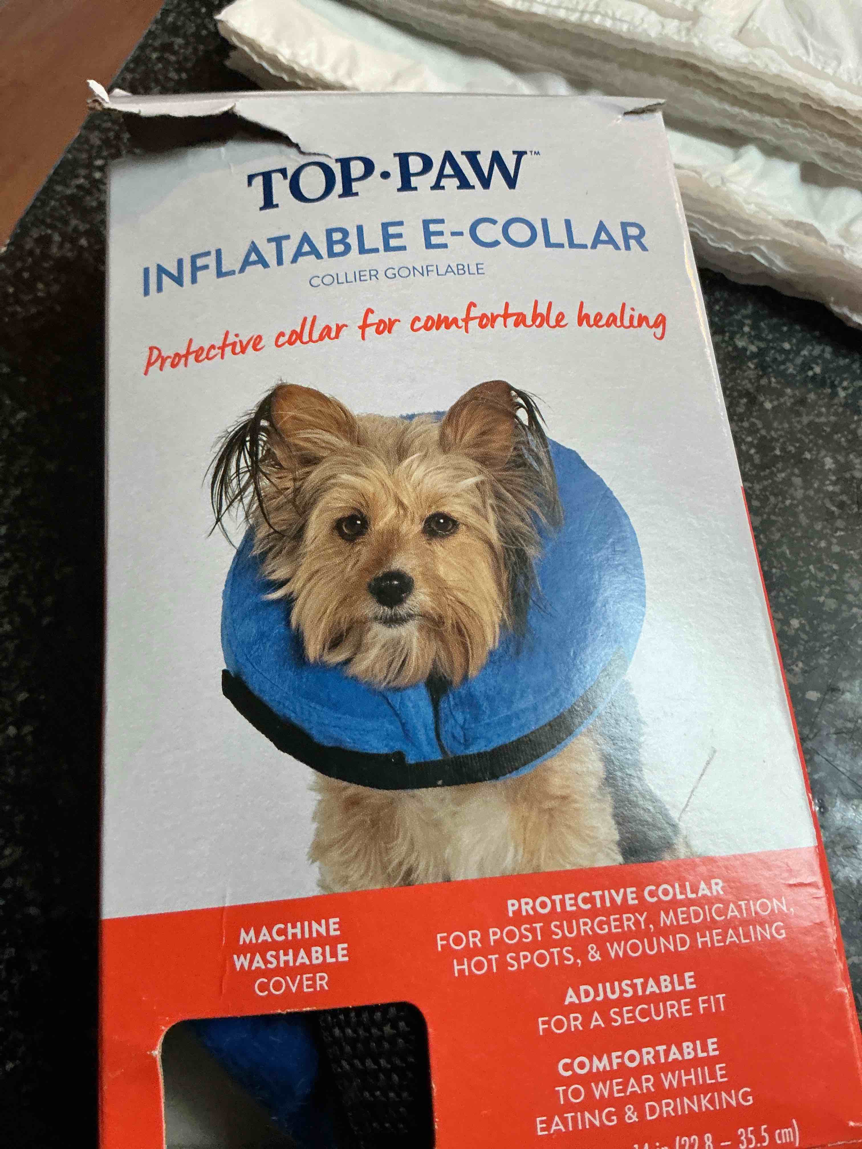 https://s3.amazonaws.com/lotting-images-prod/webster/WBS6309117_1756769467120.jpeg