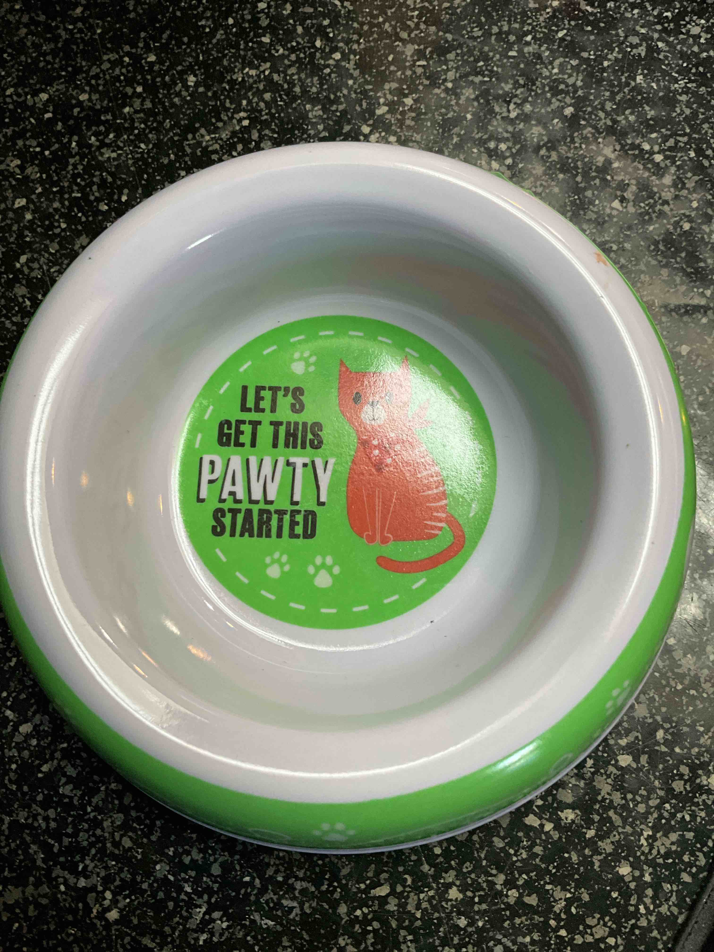 Small Pet Dish 