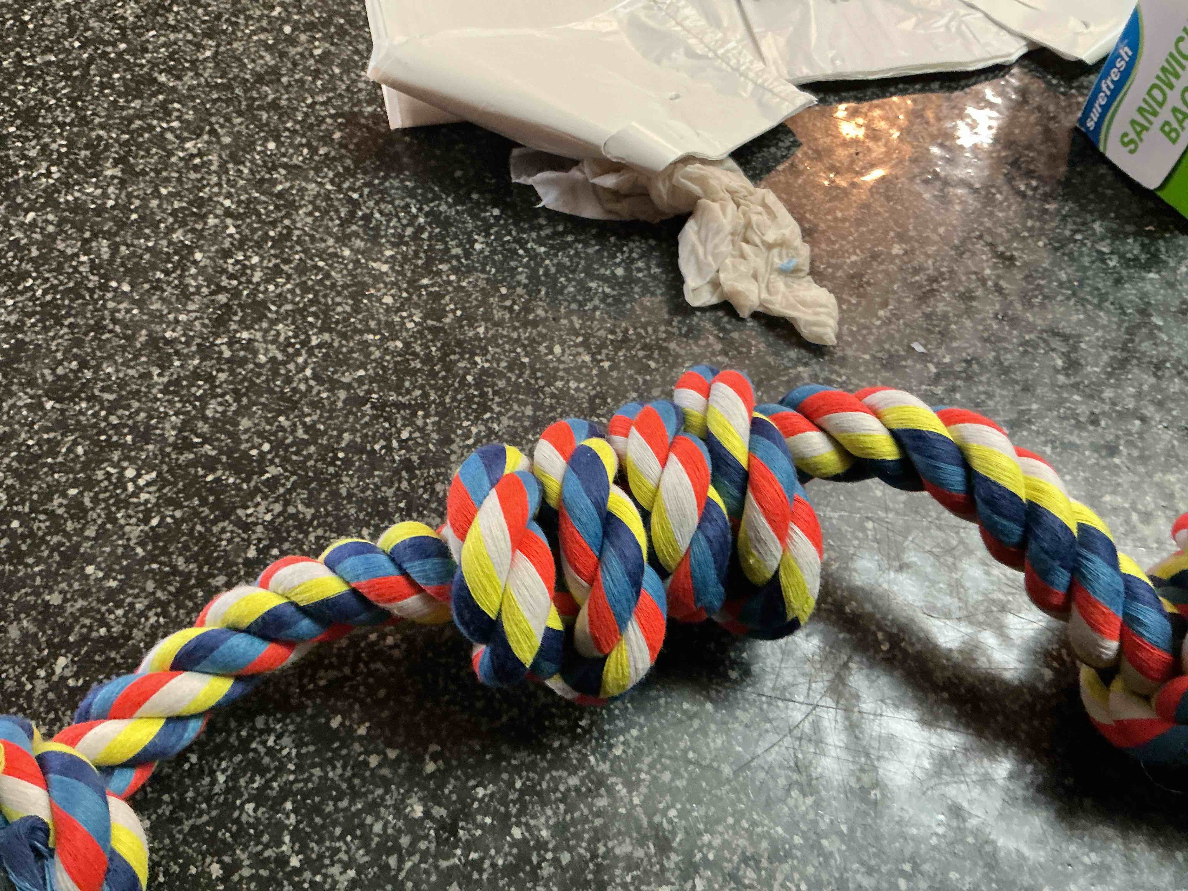 Top Paw Rope For Dog 