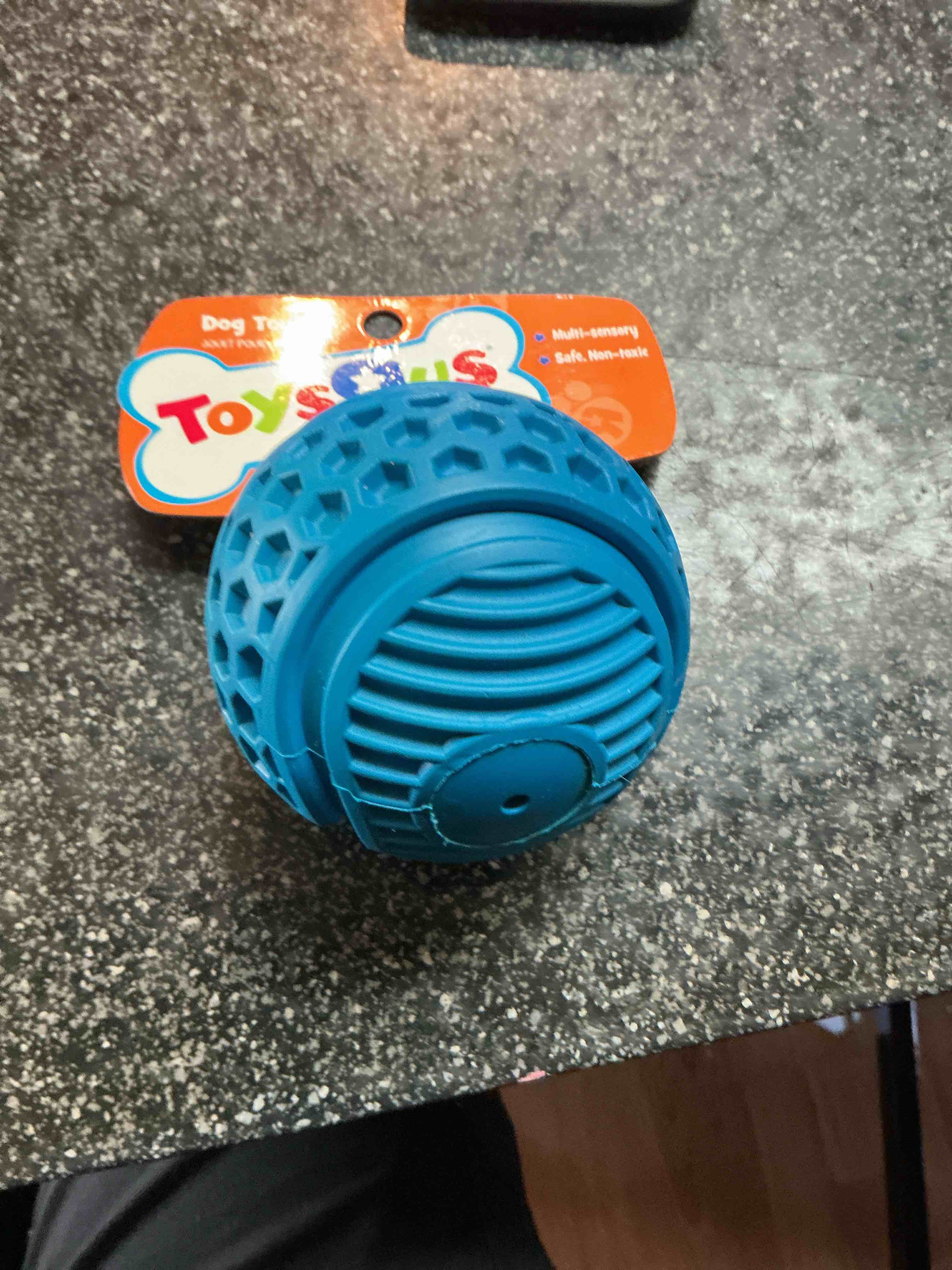Toys R Us Pets Multi Sensory Squeaky Ball 