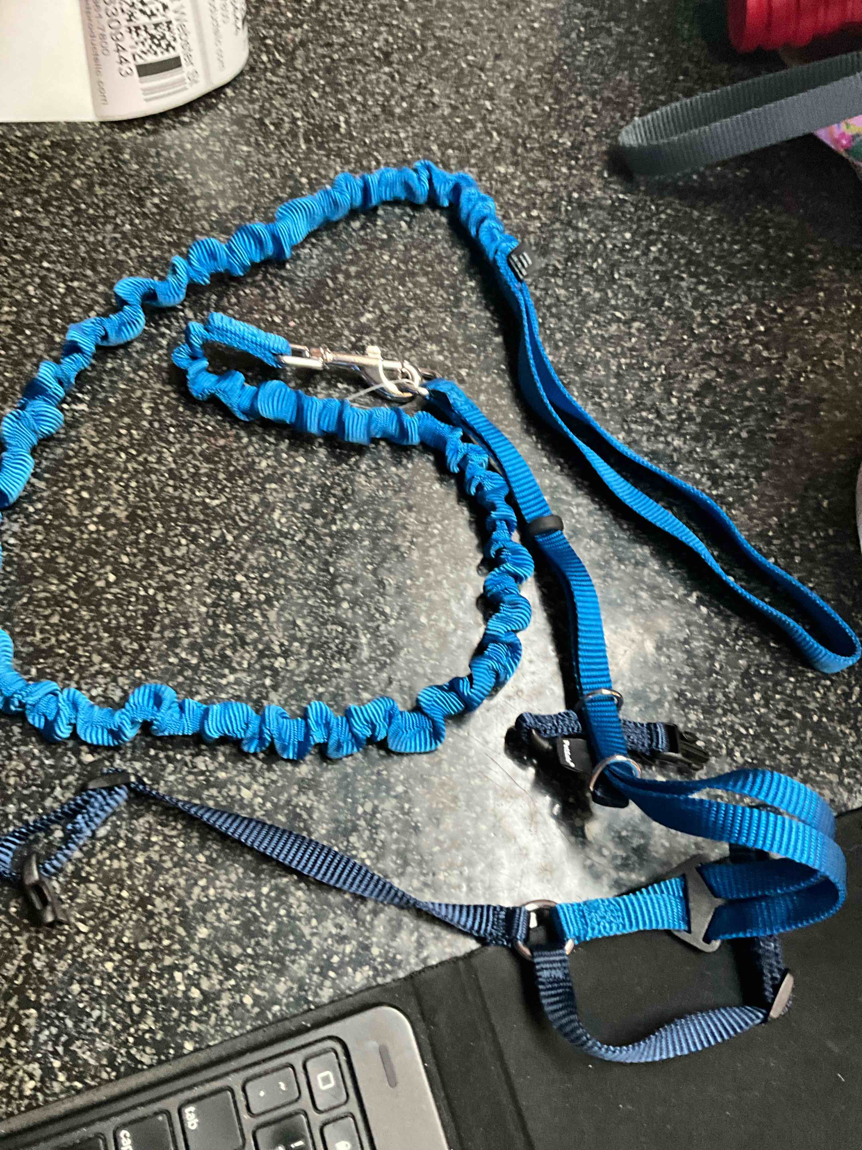 PetSafe - Pet Collar & Leash 