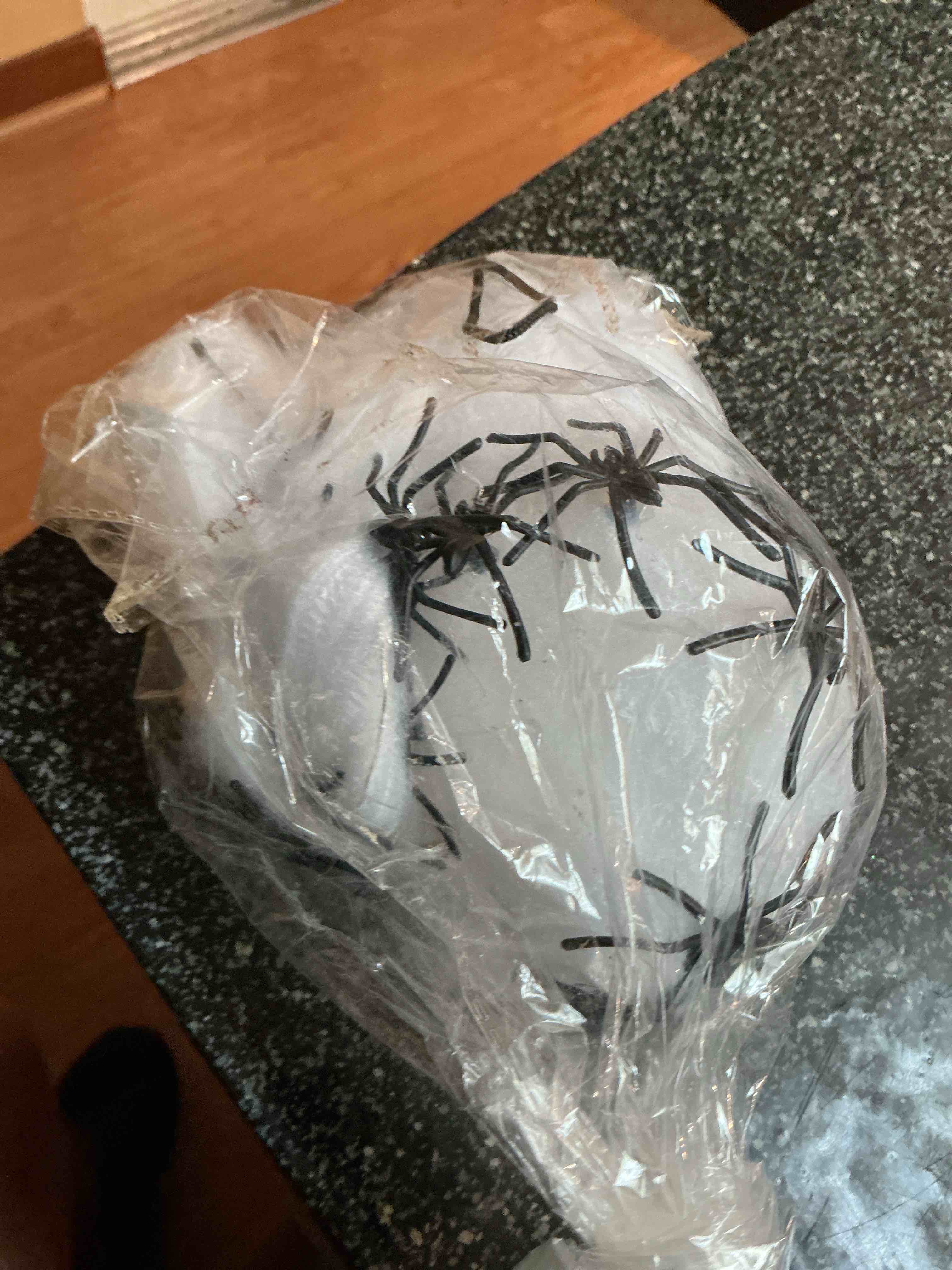 Decorative Spider Web With Spiders 