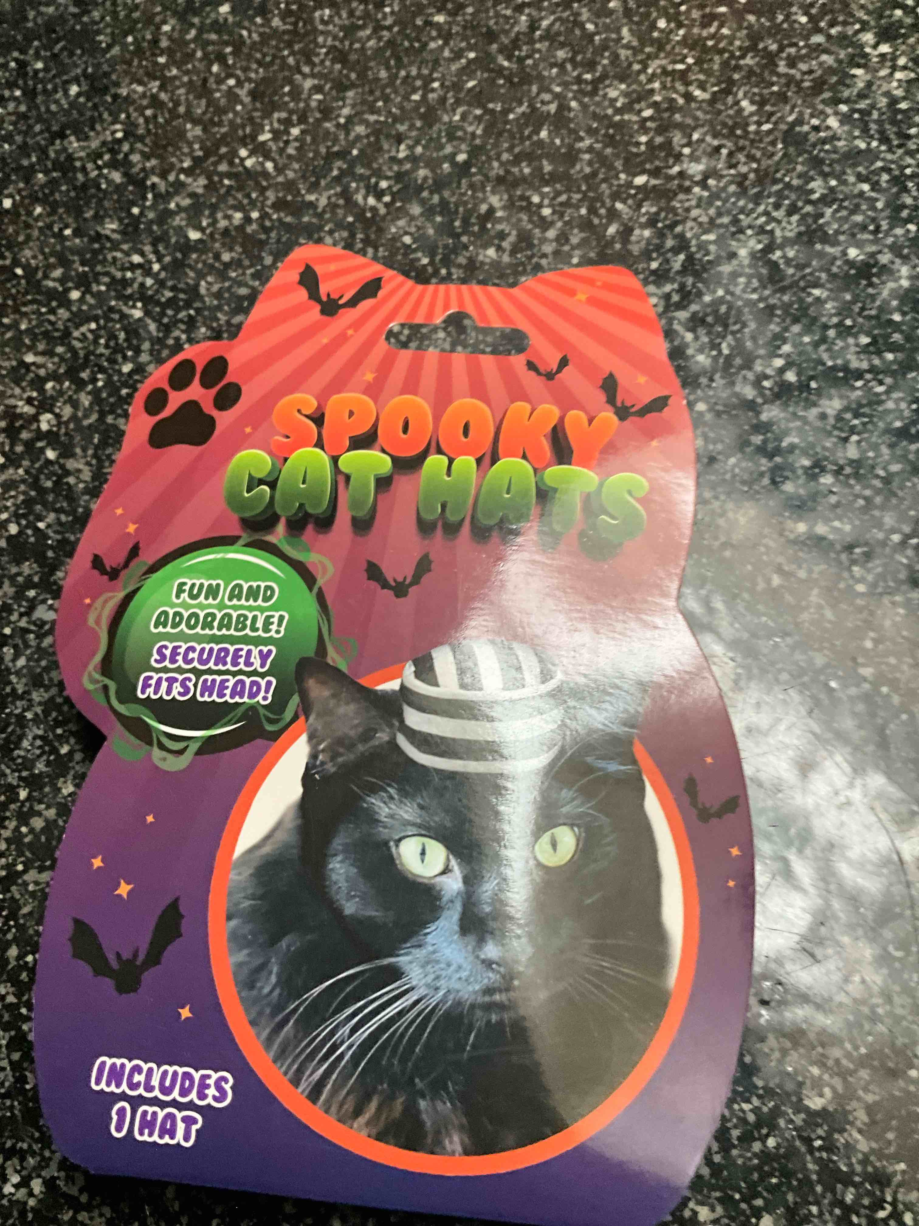 Spooky Cat Hat