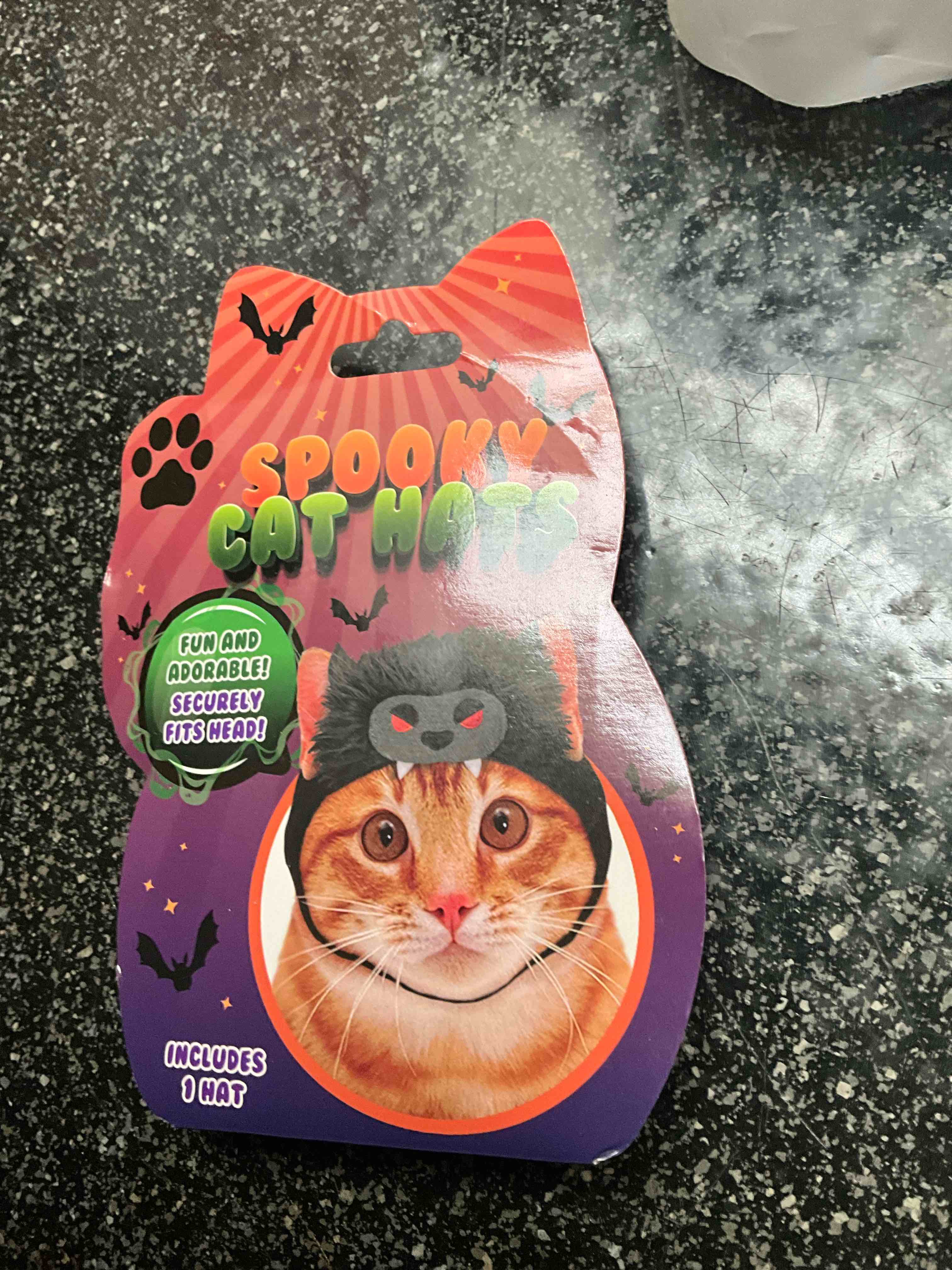 Spooky Cat Hat 